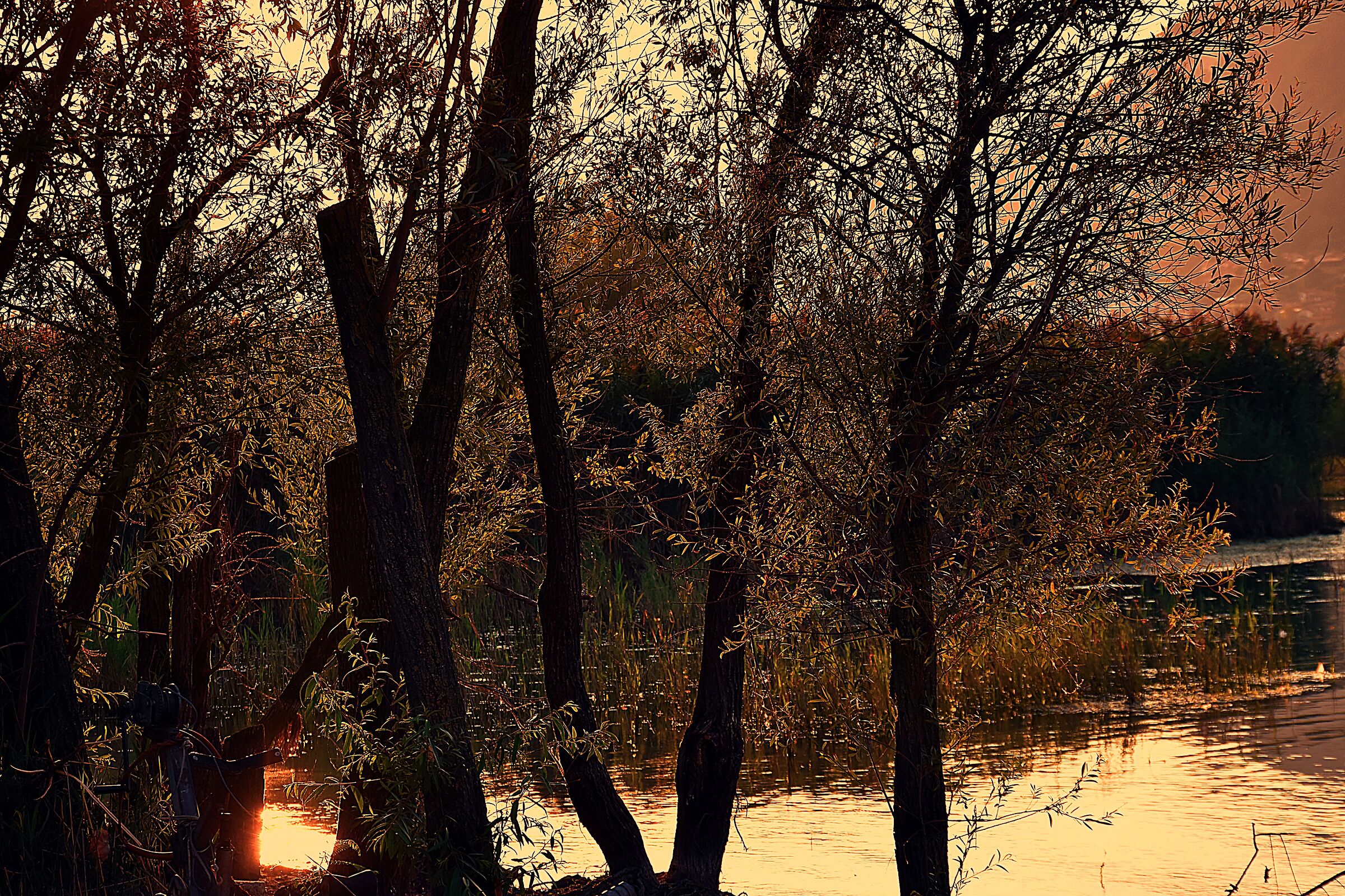 Tramonto l lago D'Iseo