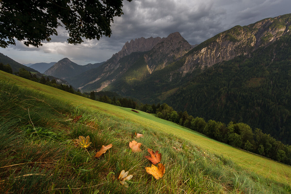 Prelude to autumn ...