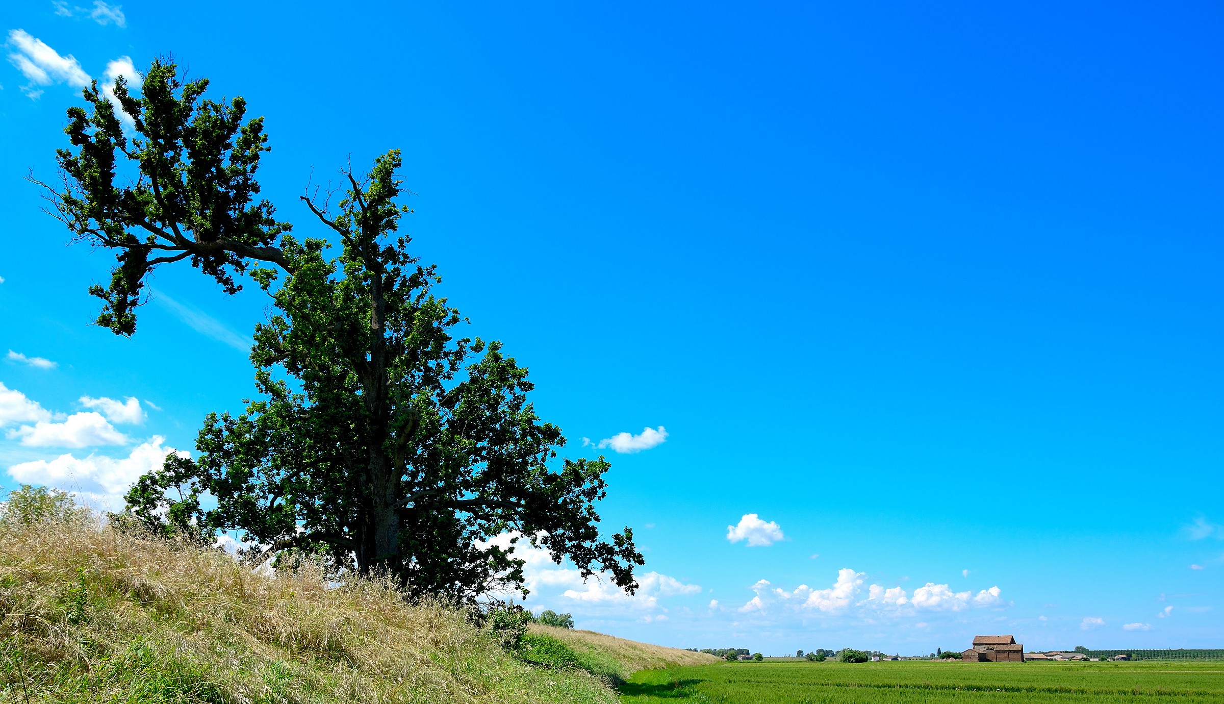 St. Basil-Rosolina (ro) - "The Rovra"