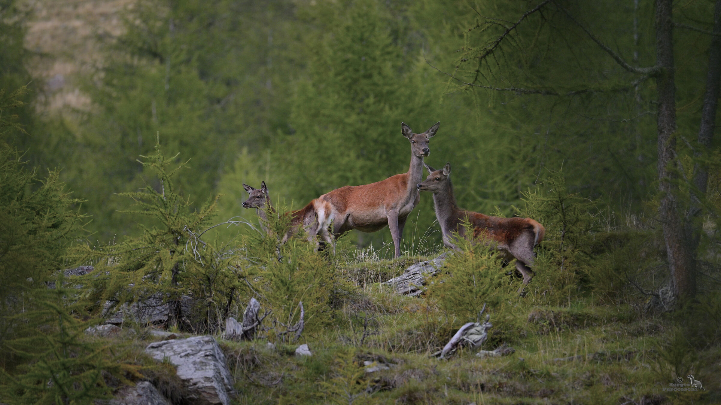 Meeting at nightfall