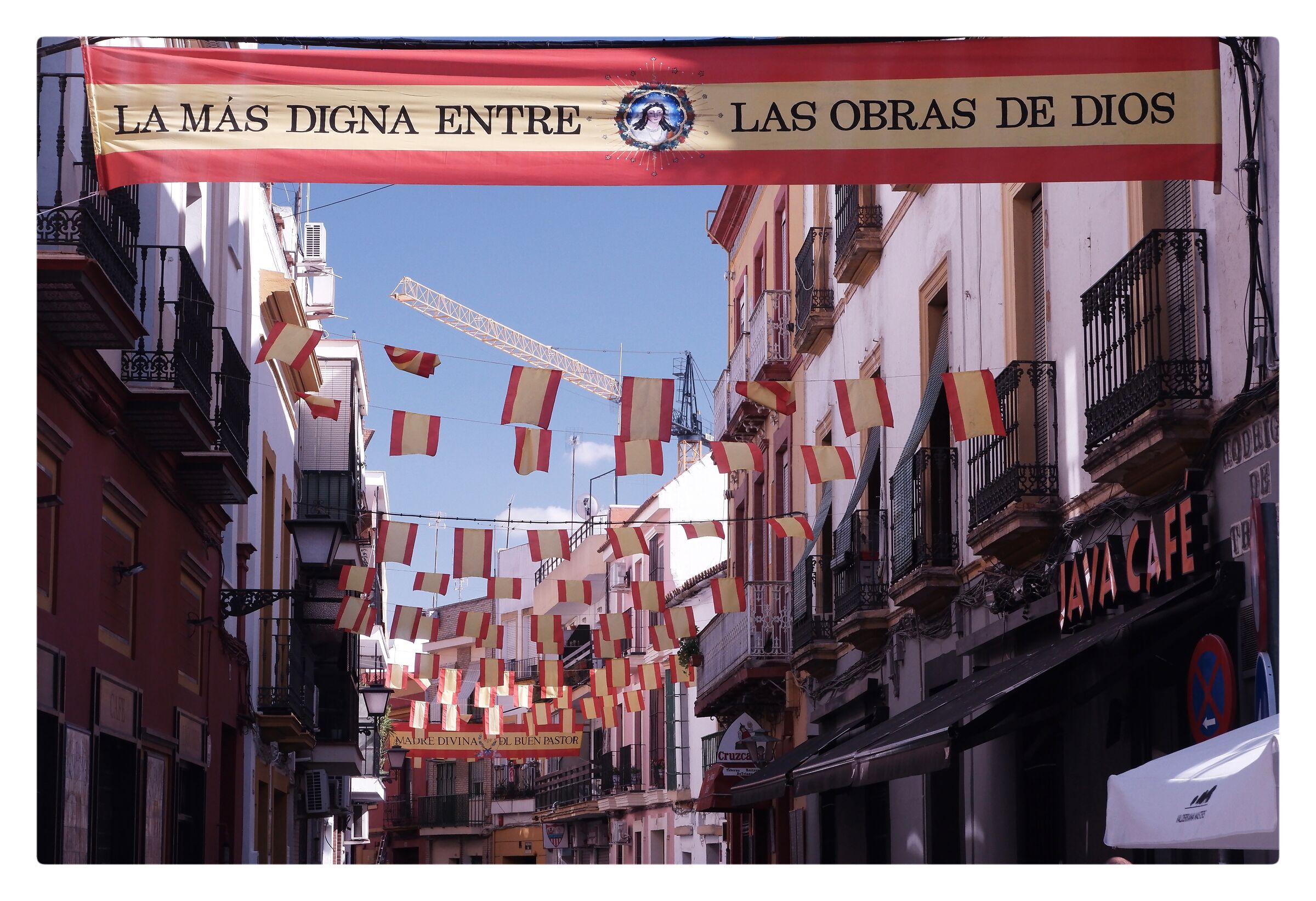 Patriota