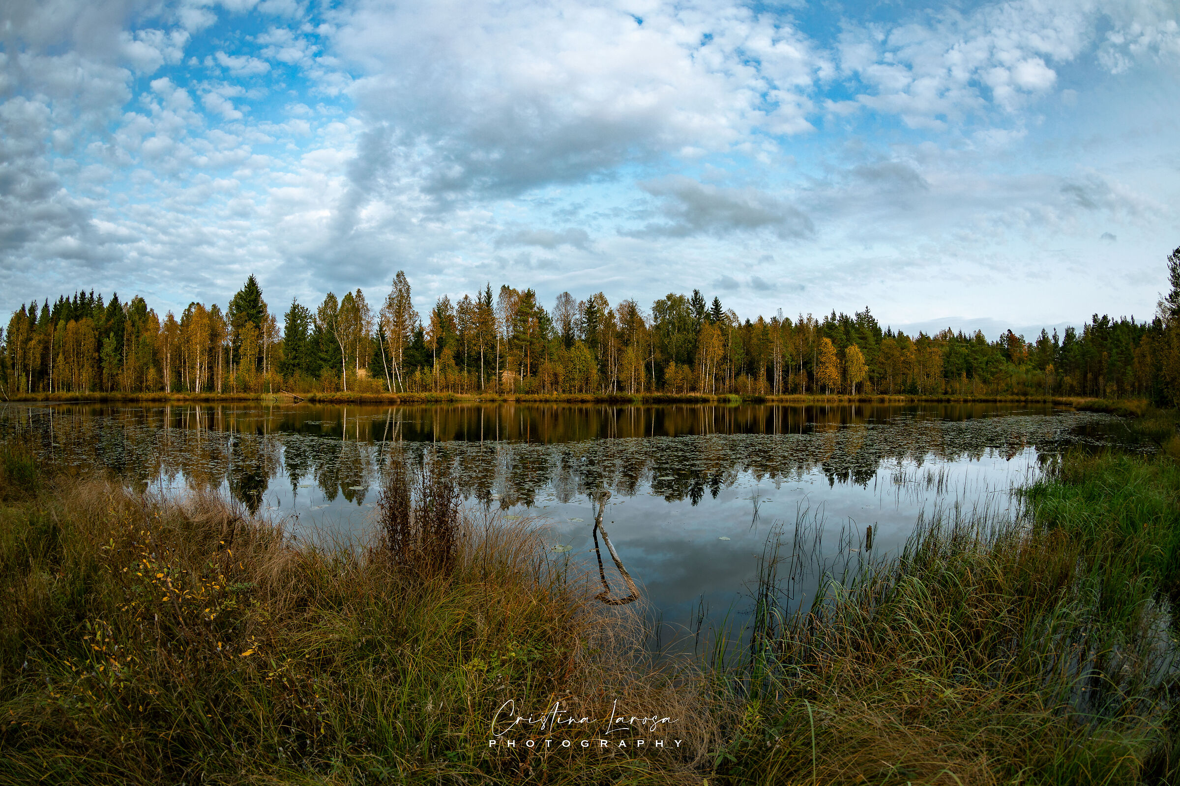 Norwegian autumn