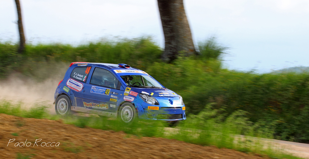 Rally dell'Adriatico 2013