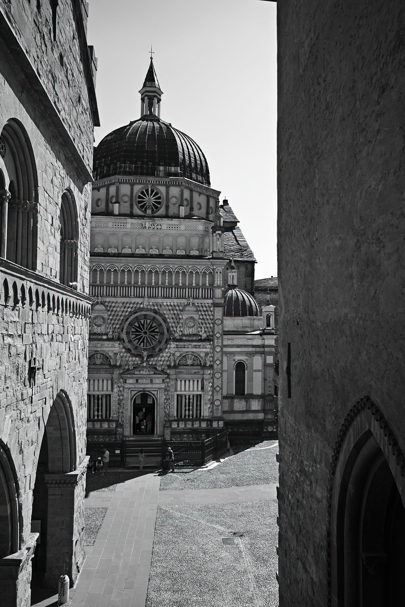 Untitled Photo