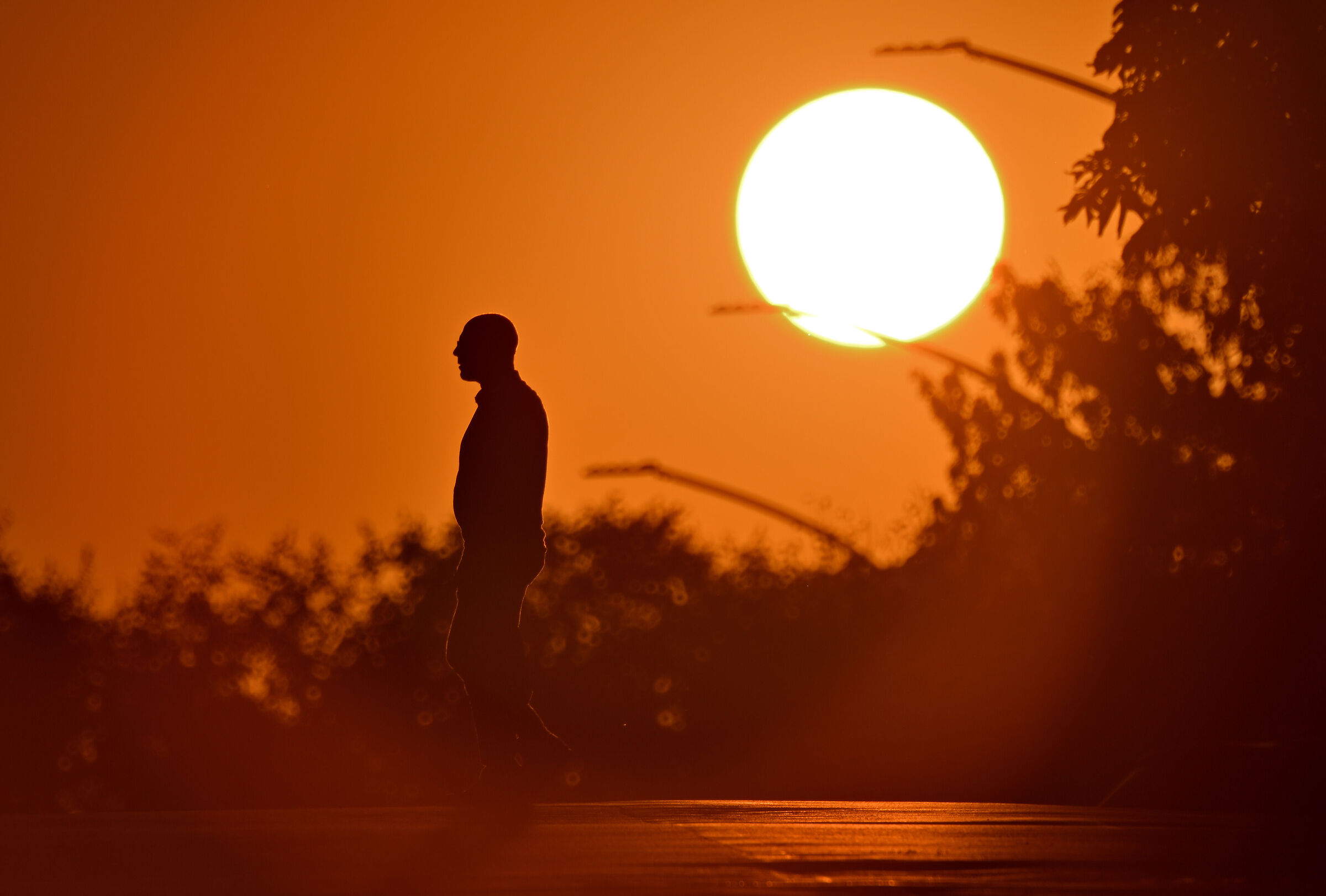 déjà-vu - 29 Settembre