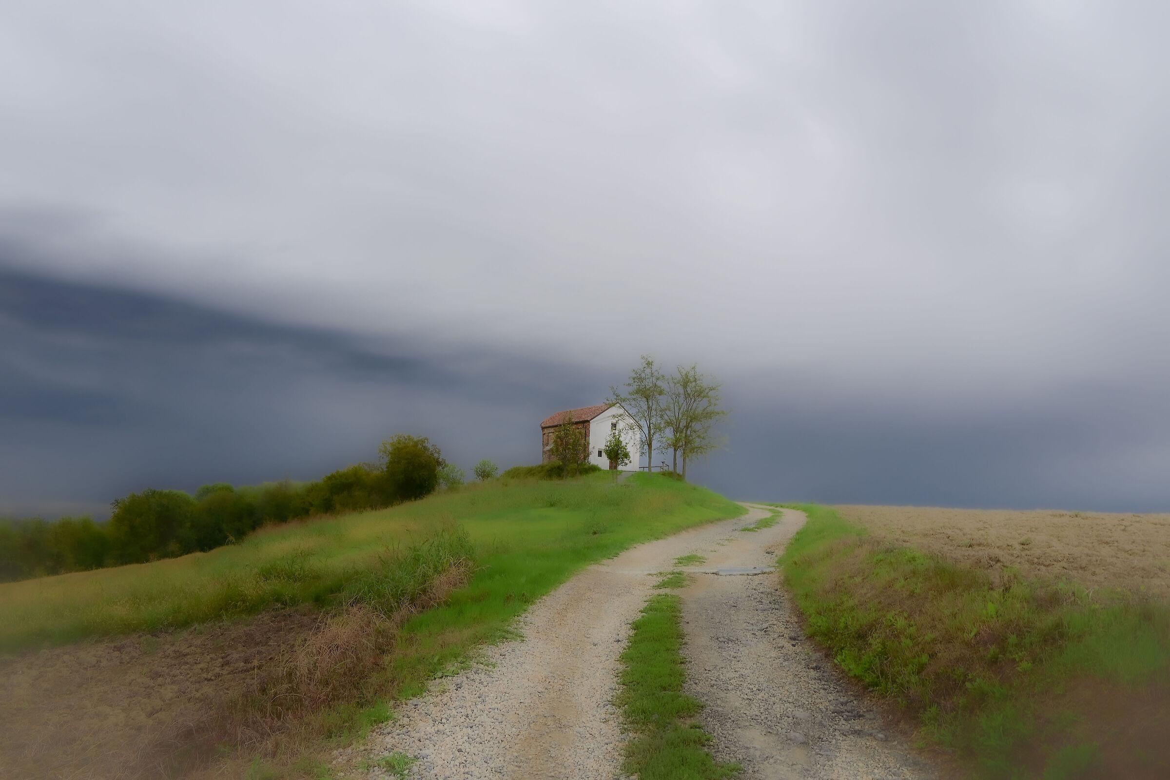 Untitled Photo