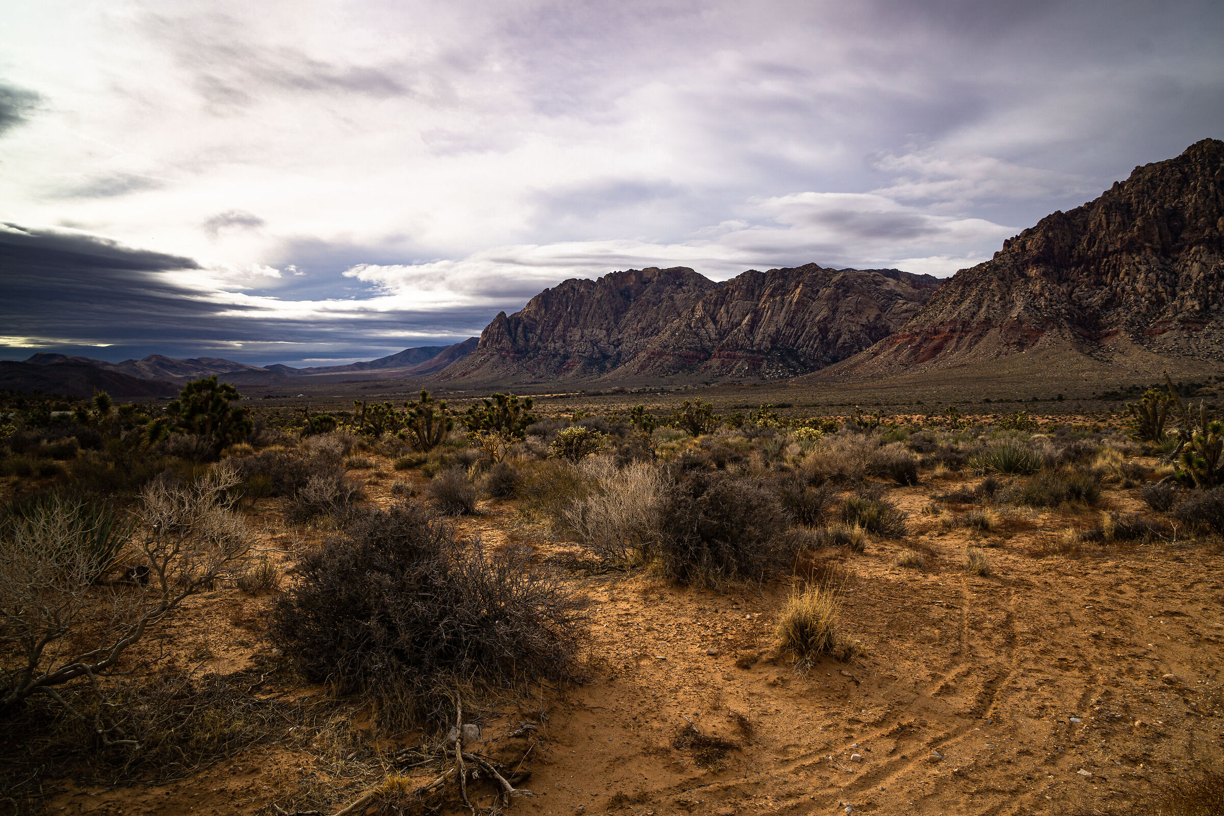 Red Rock [Nevada]