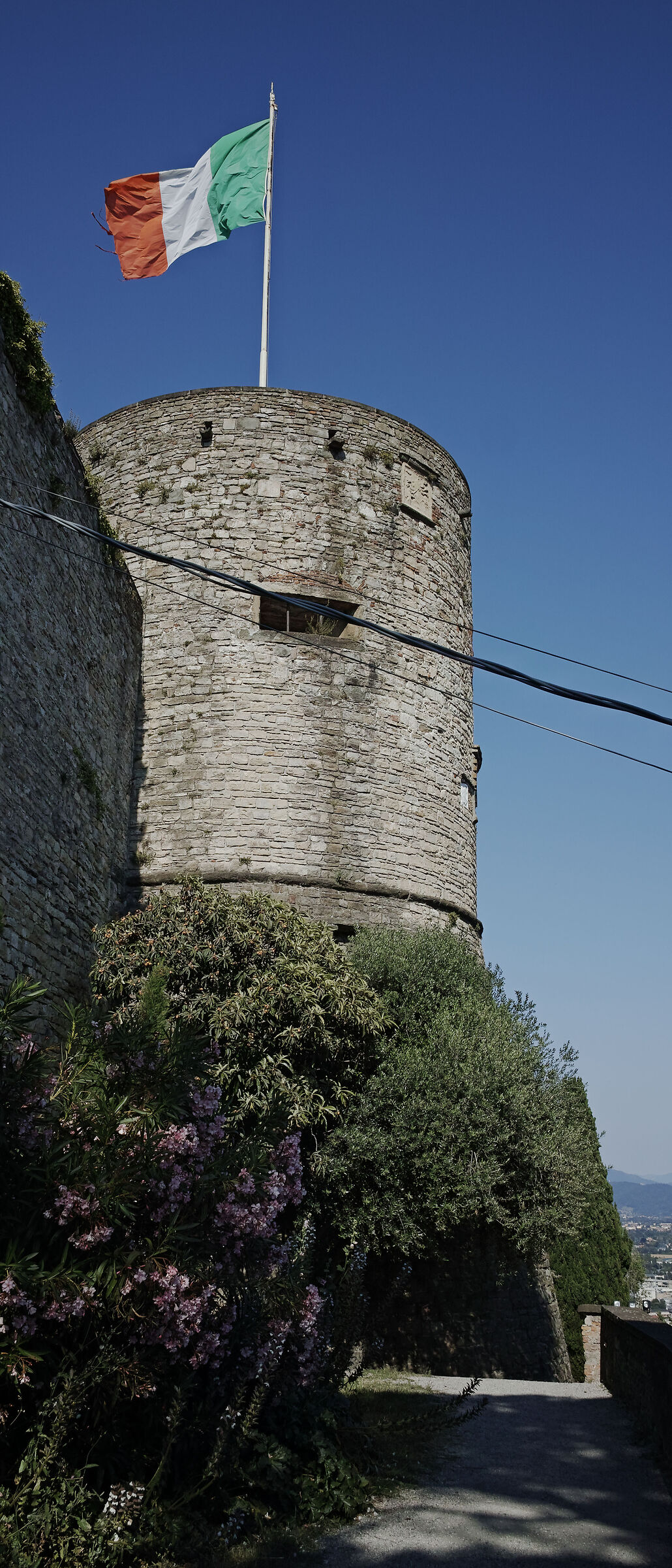 Untitled Photo