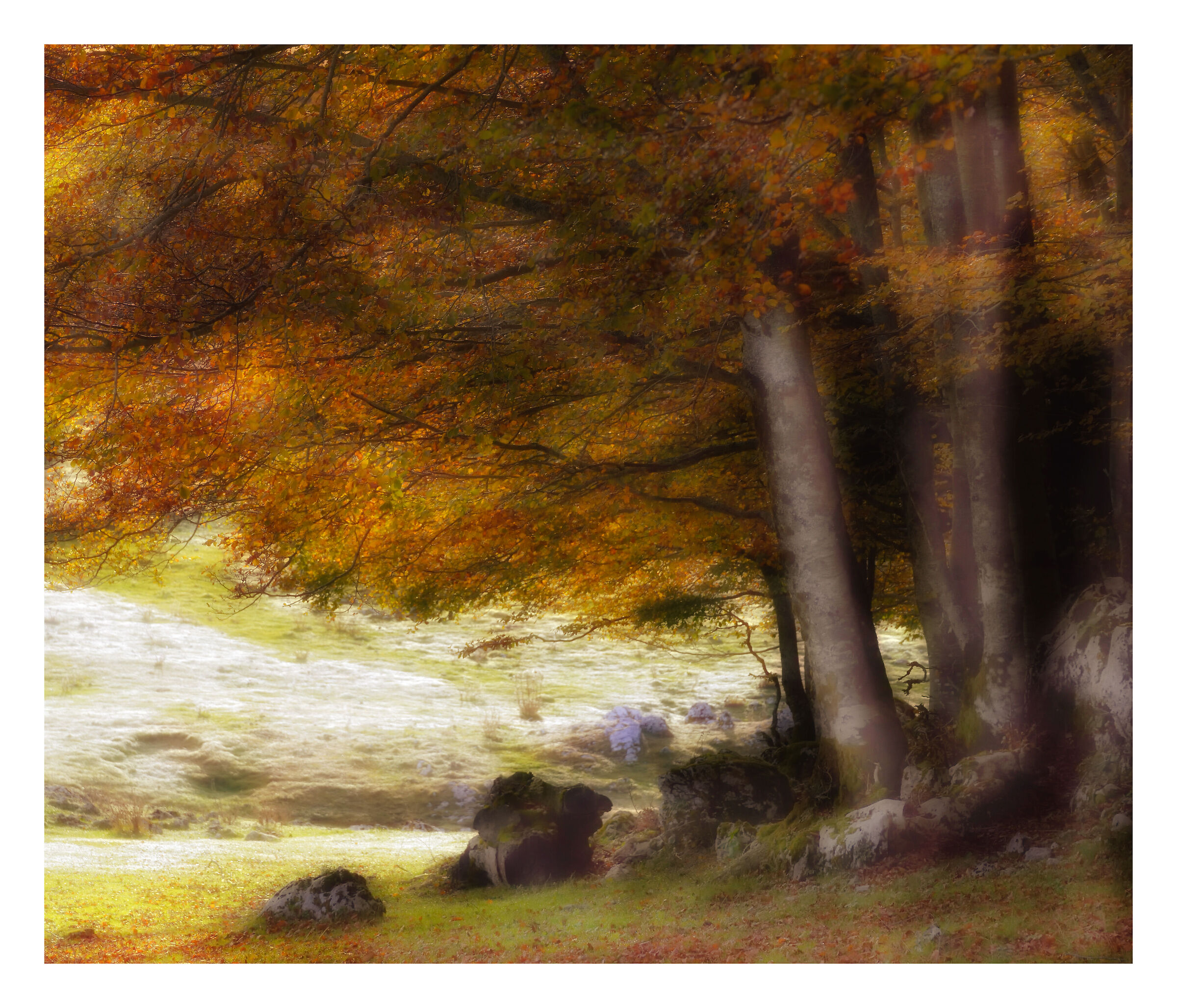 Between autumn and winter