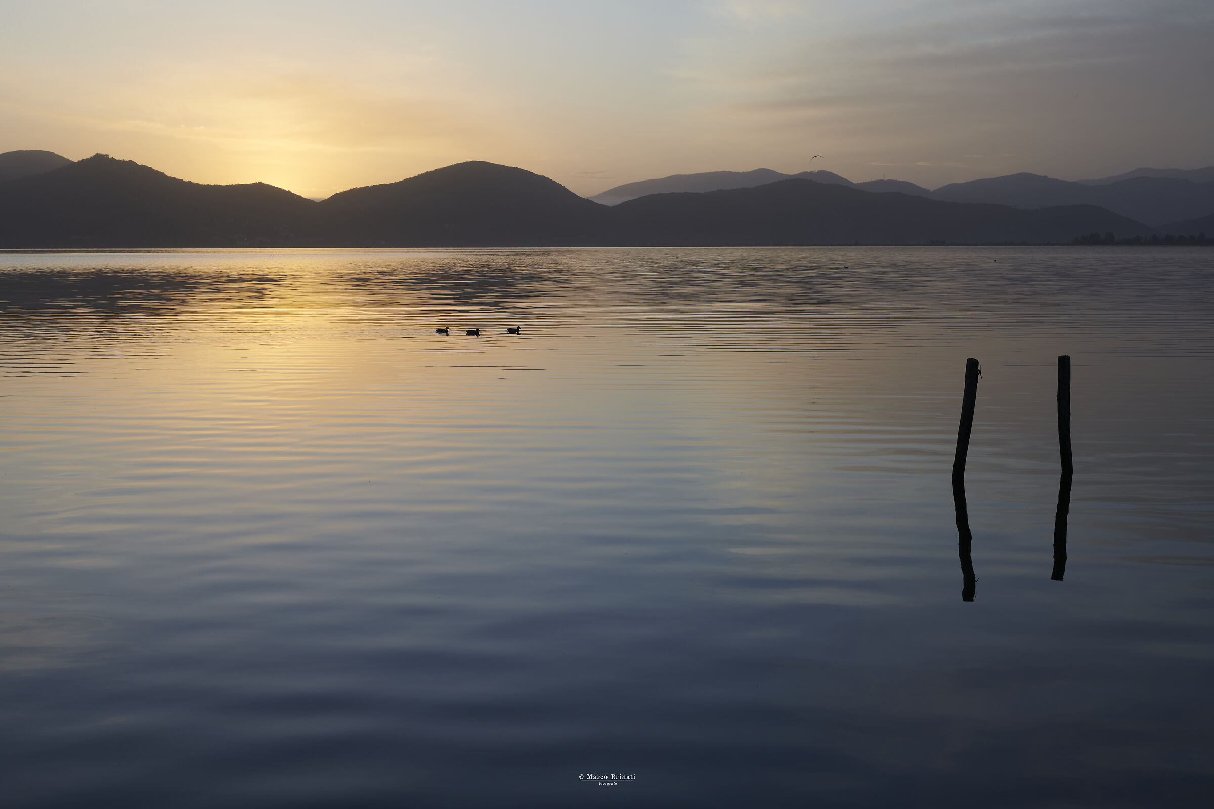 Ancora un'alba a Massaciuccoli