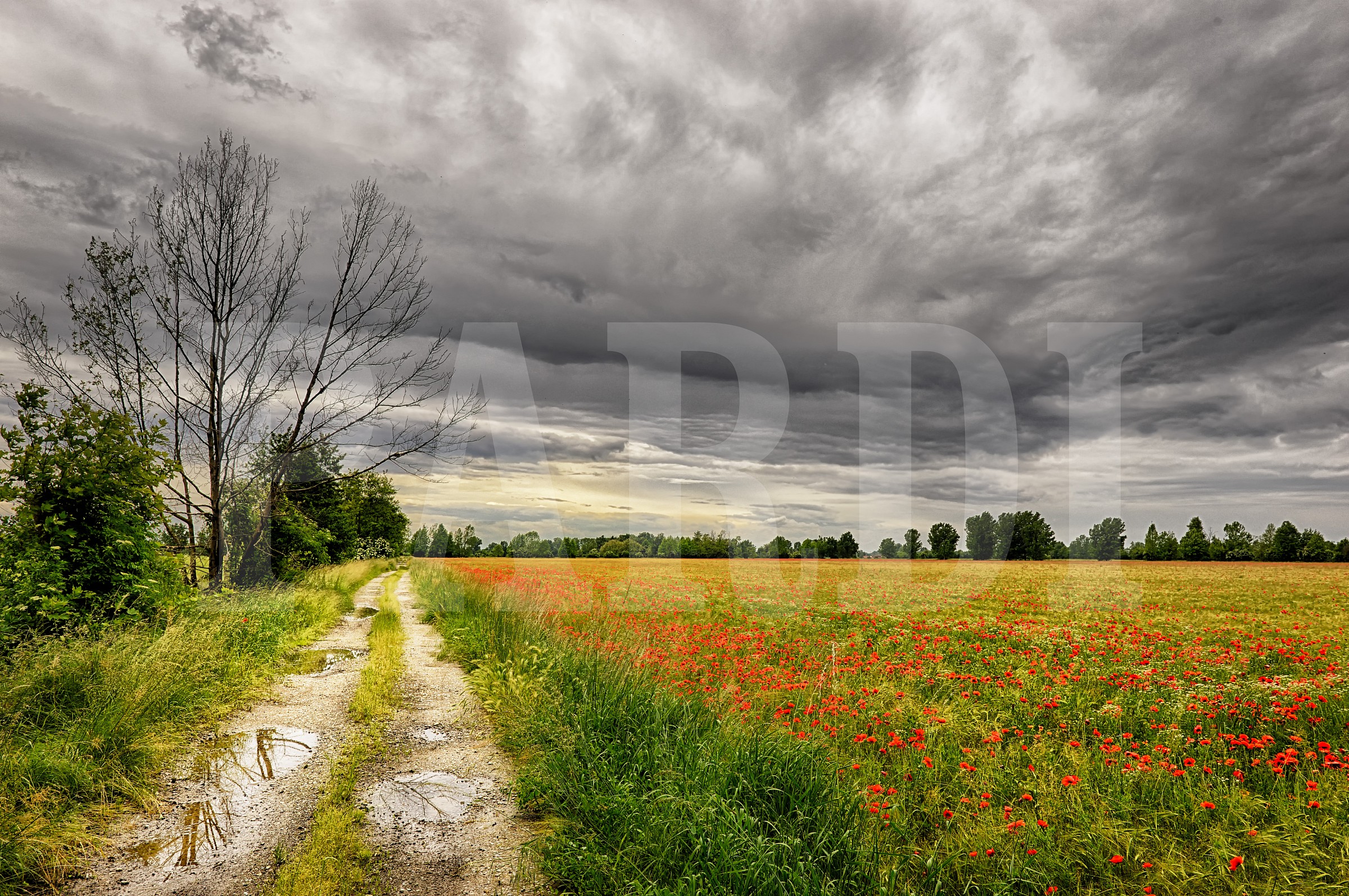 Truccazzano, tra temporali e primavera che avanza...