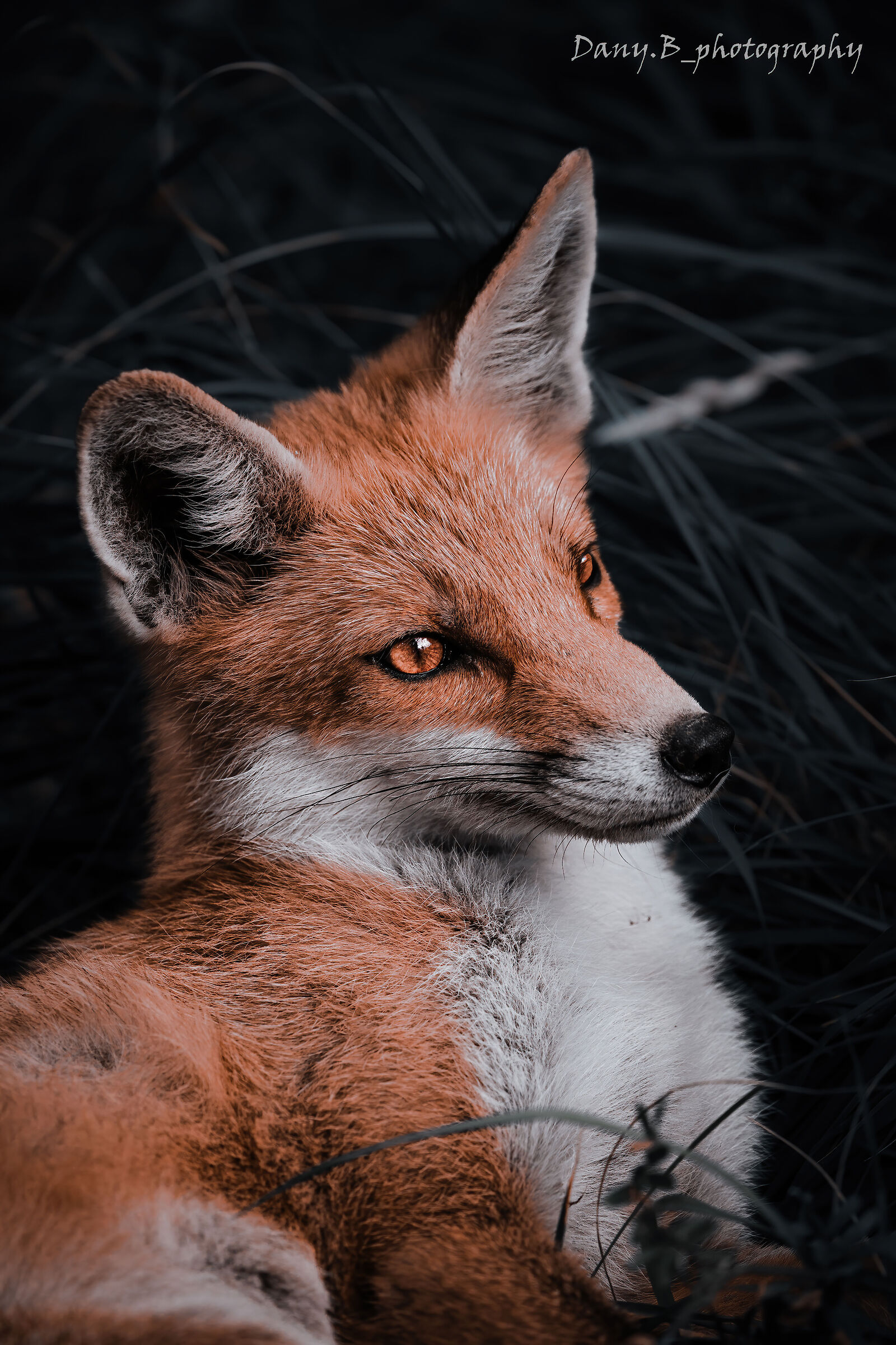 The rest of those who live with cunning