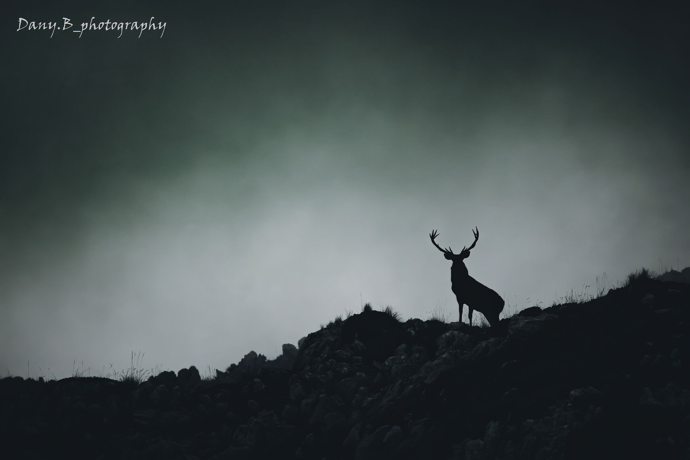 Silhouette at sunset, and the looming storm