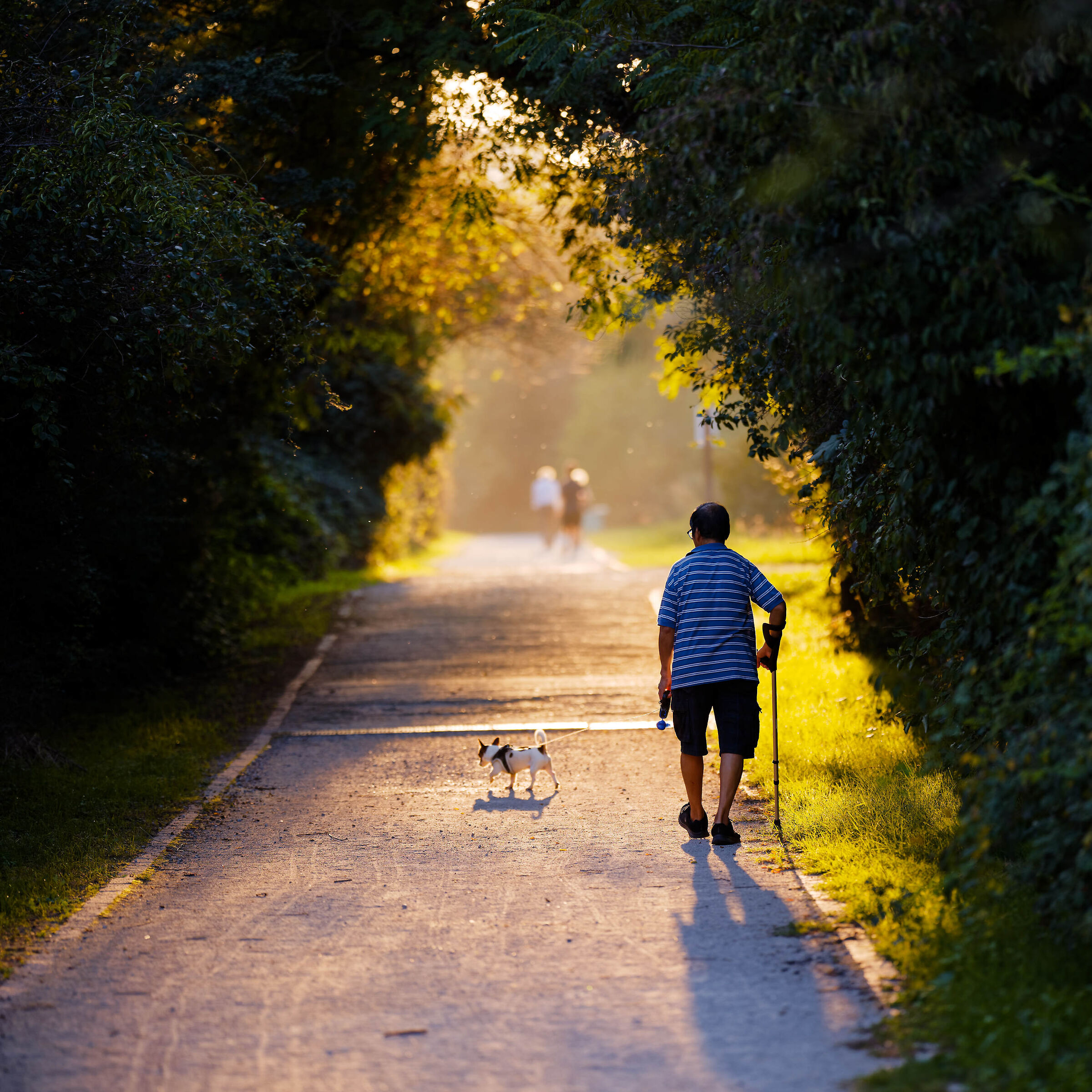 towards the evening