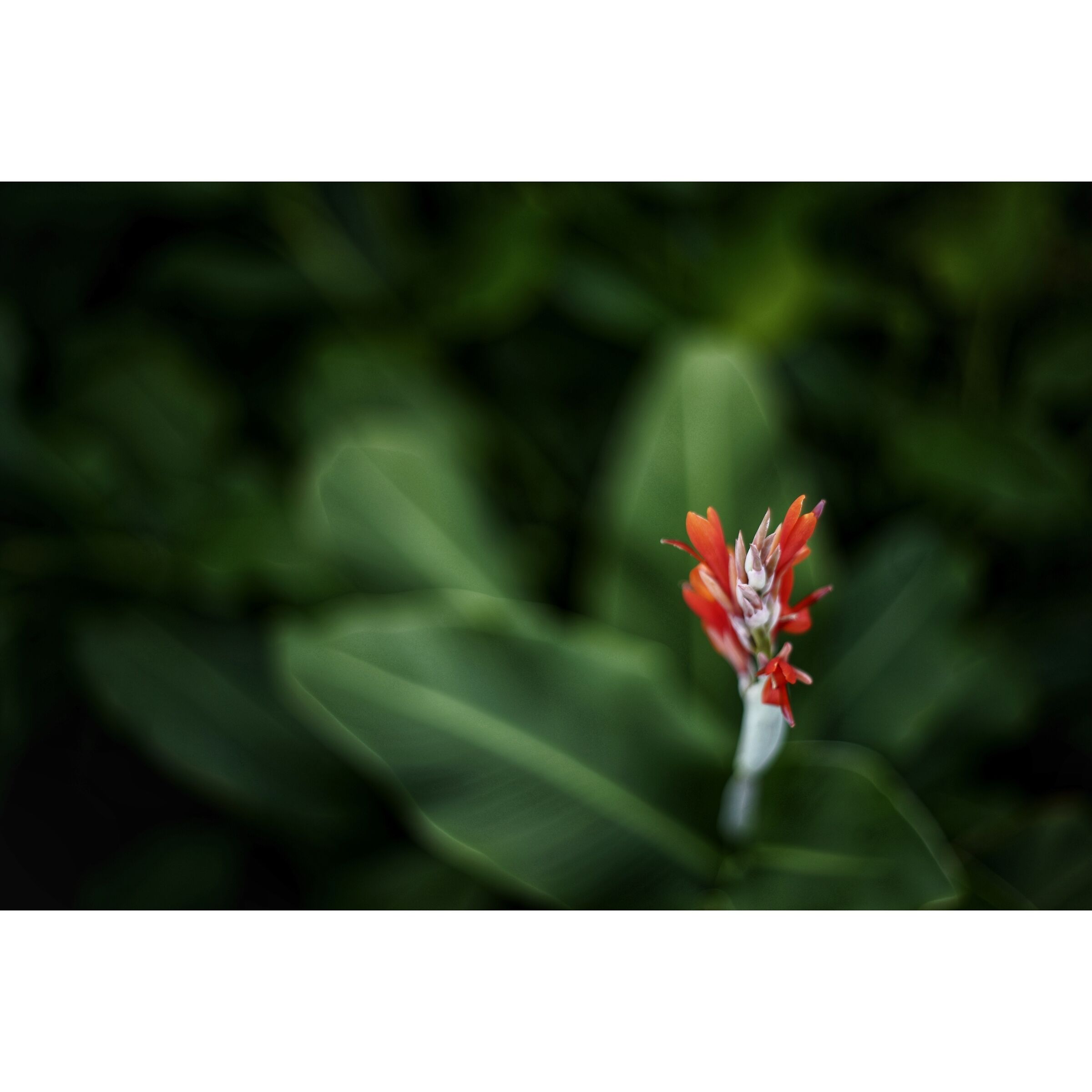Untitled Photo