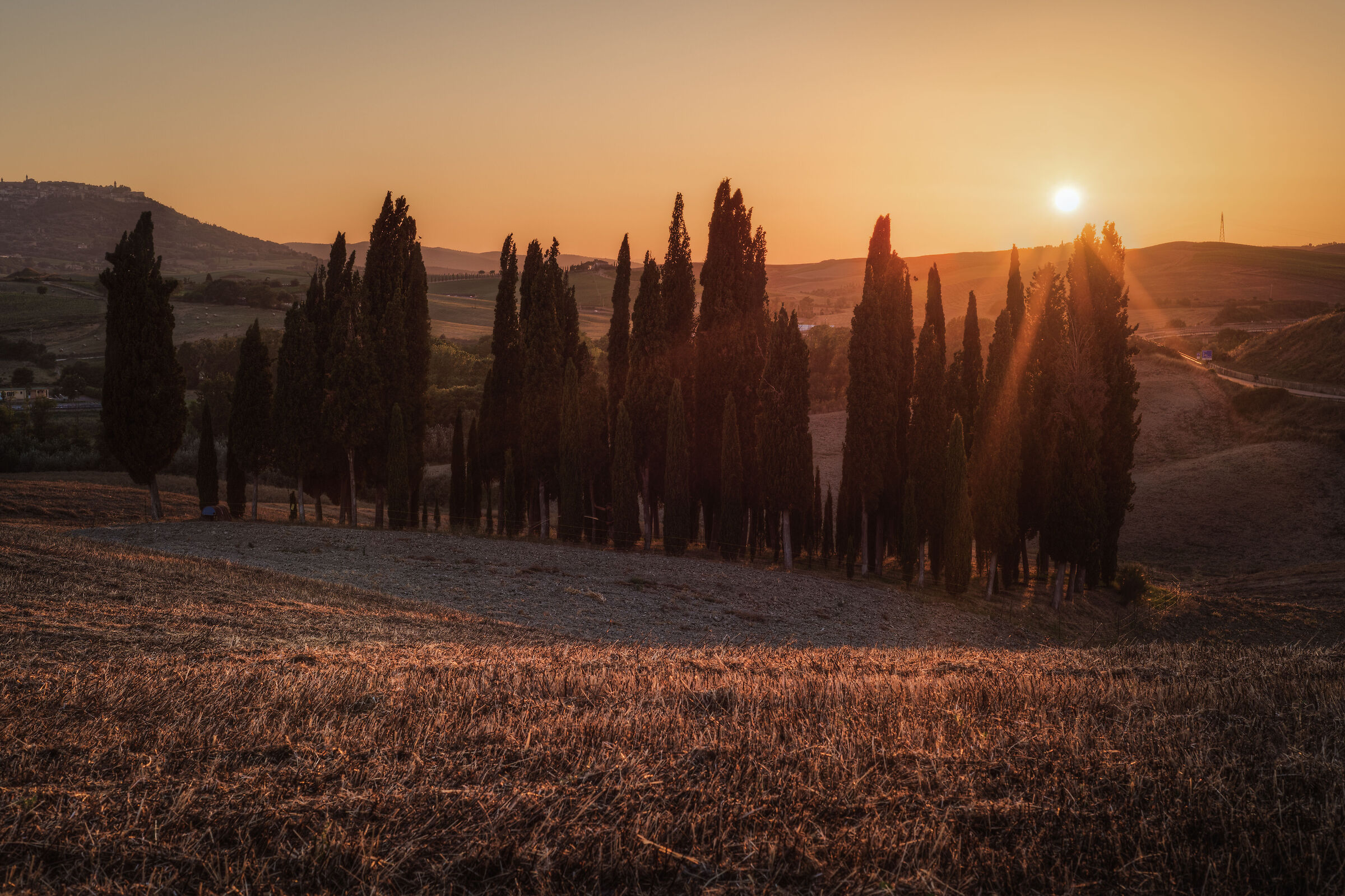 cipressi val d'orcia