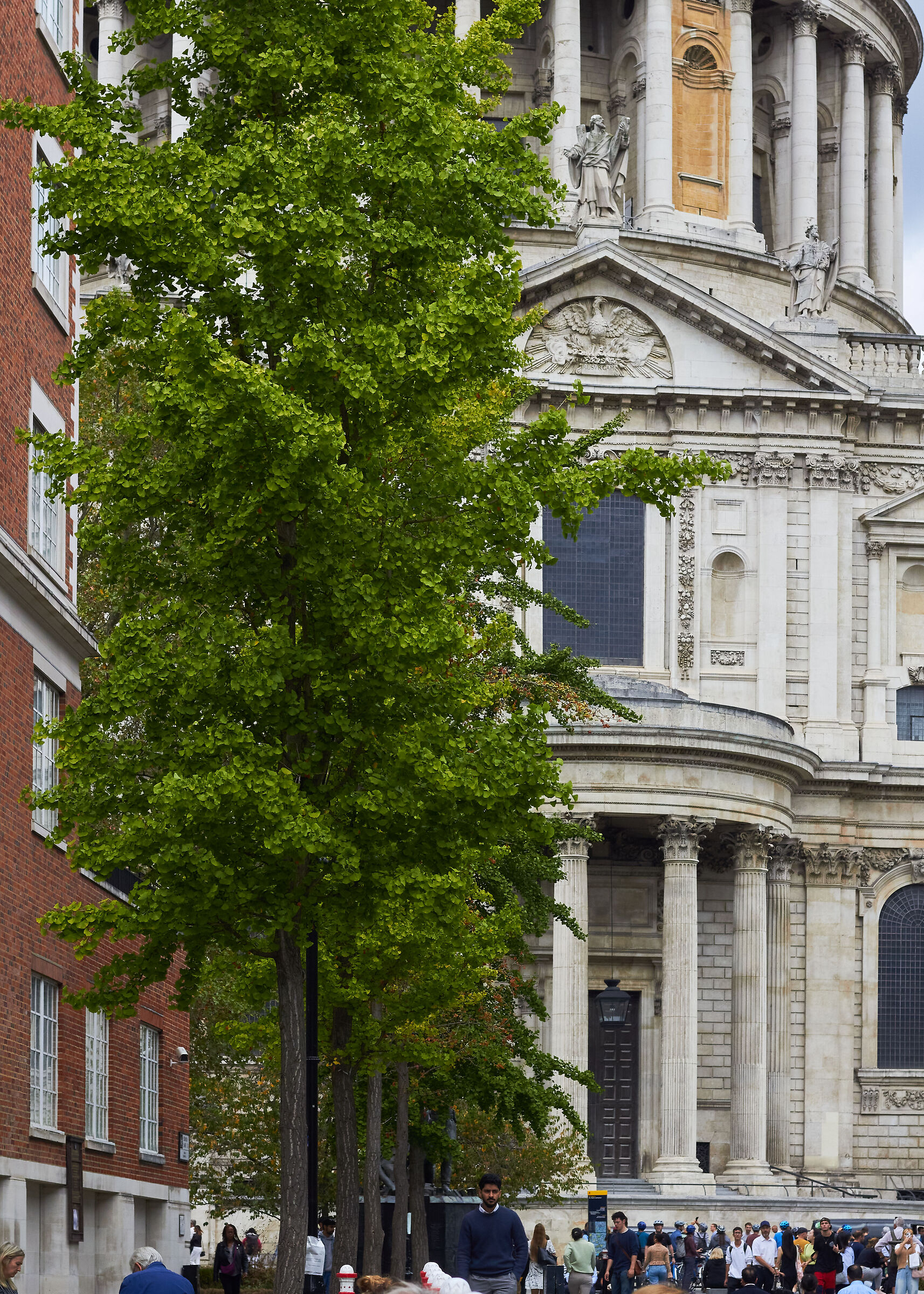 Cattedrale di San Paolo