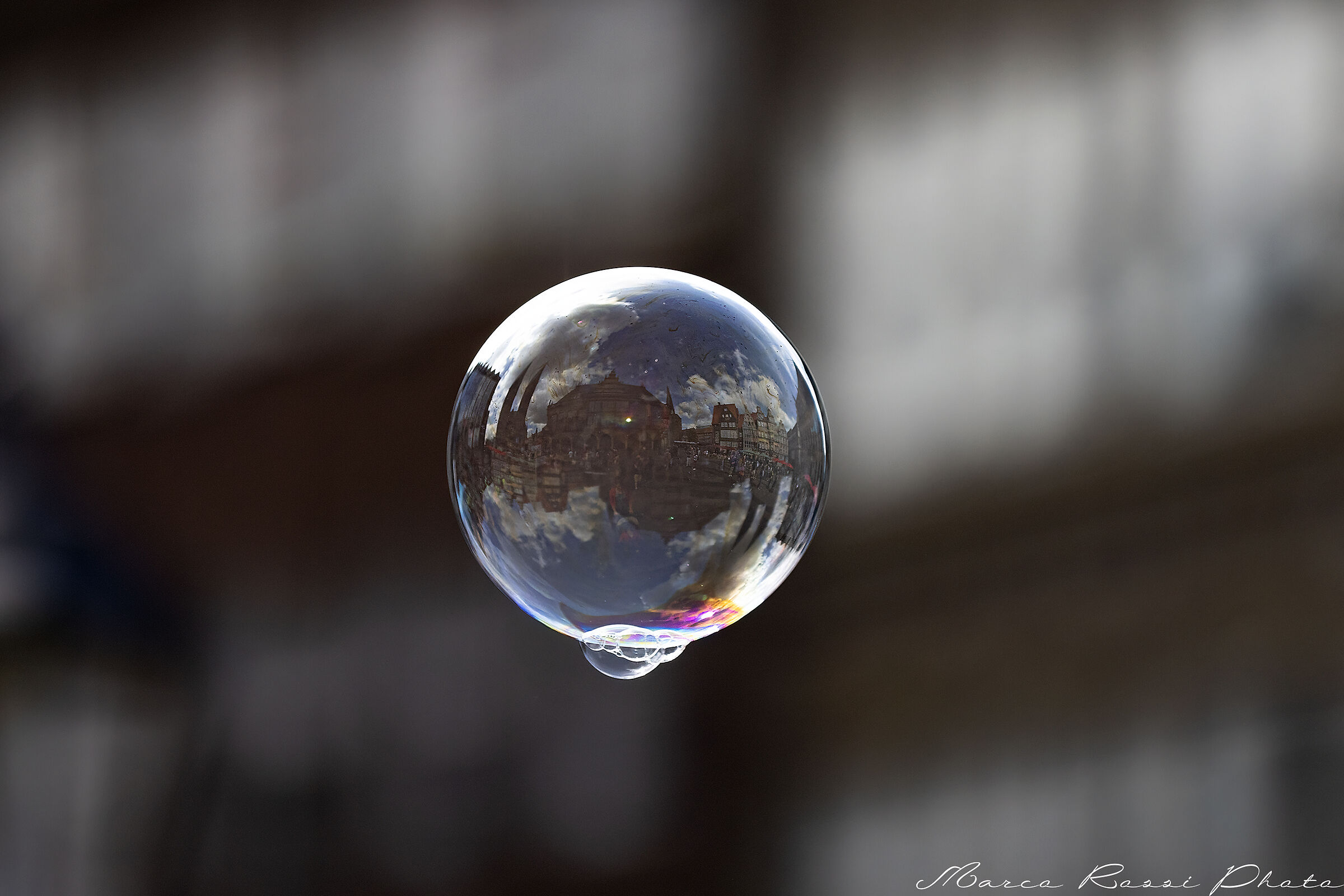 Riflettendo sul mondo