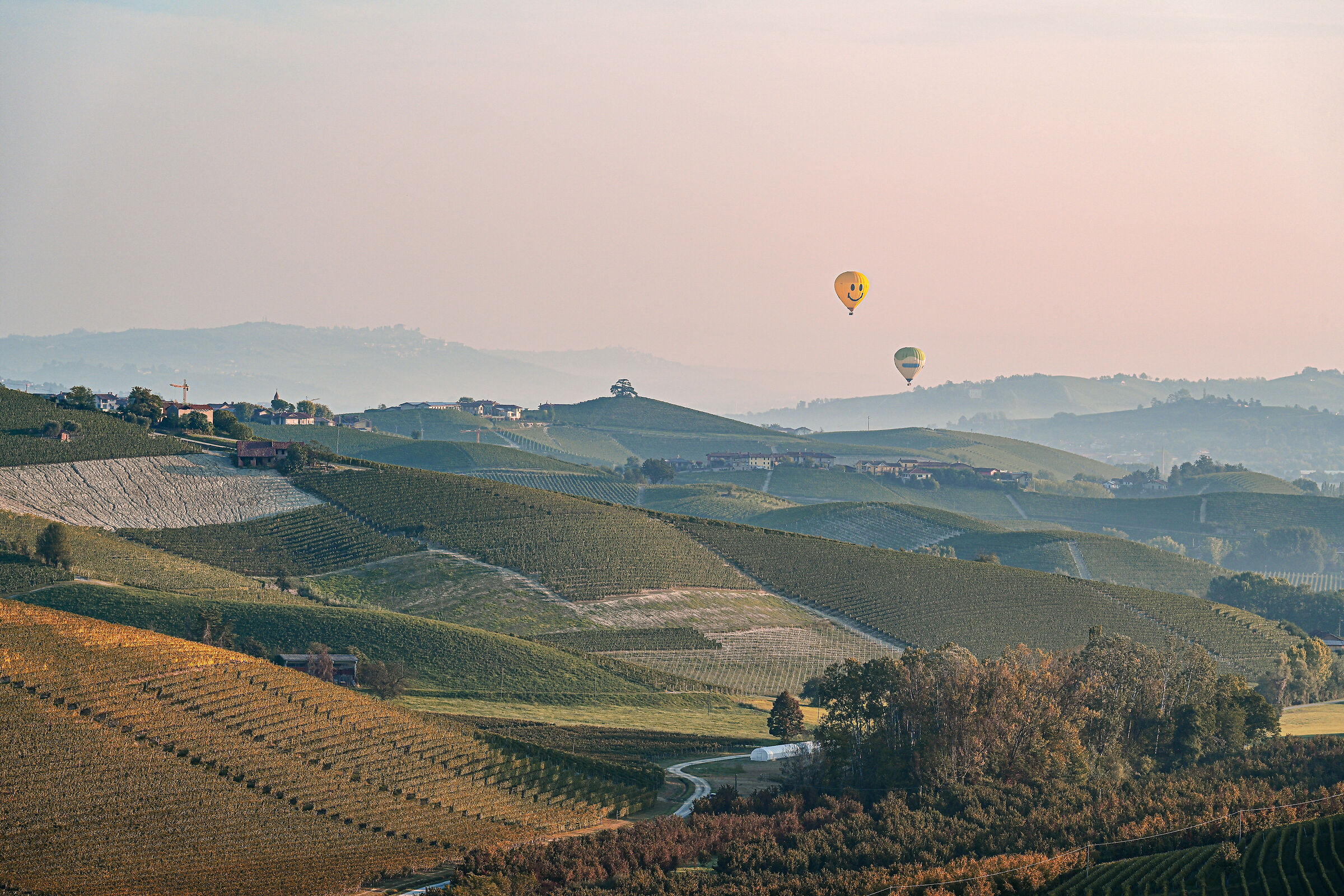 Hot air balloons in the Langhe