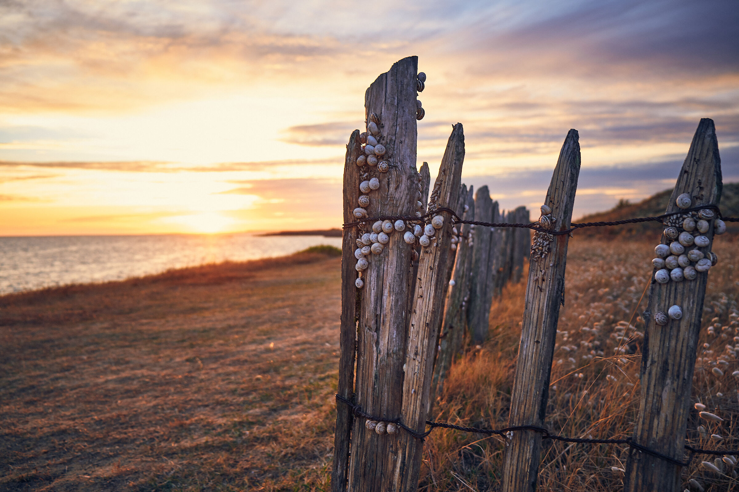 Fence at Pointe beach