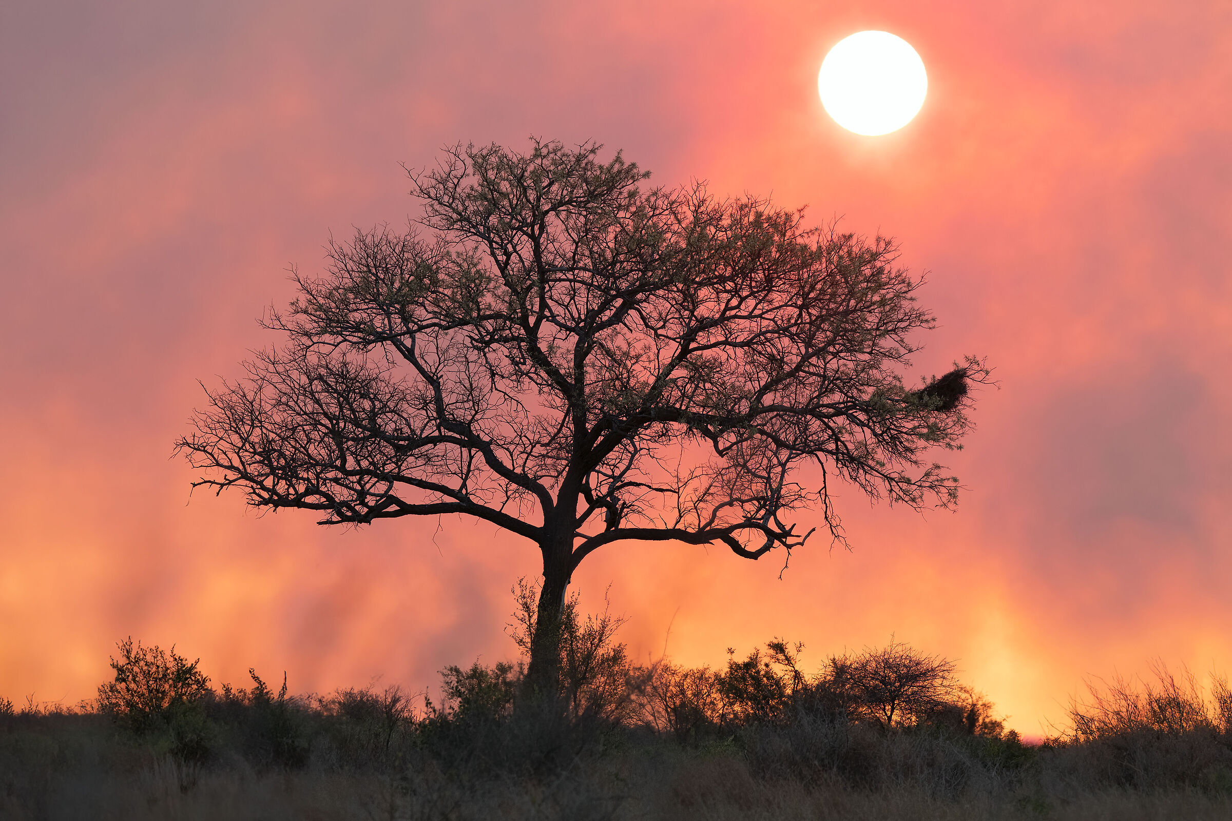 South African sunset
