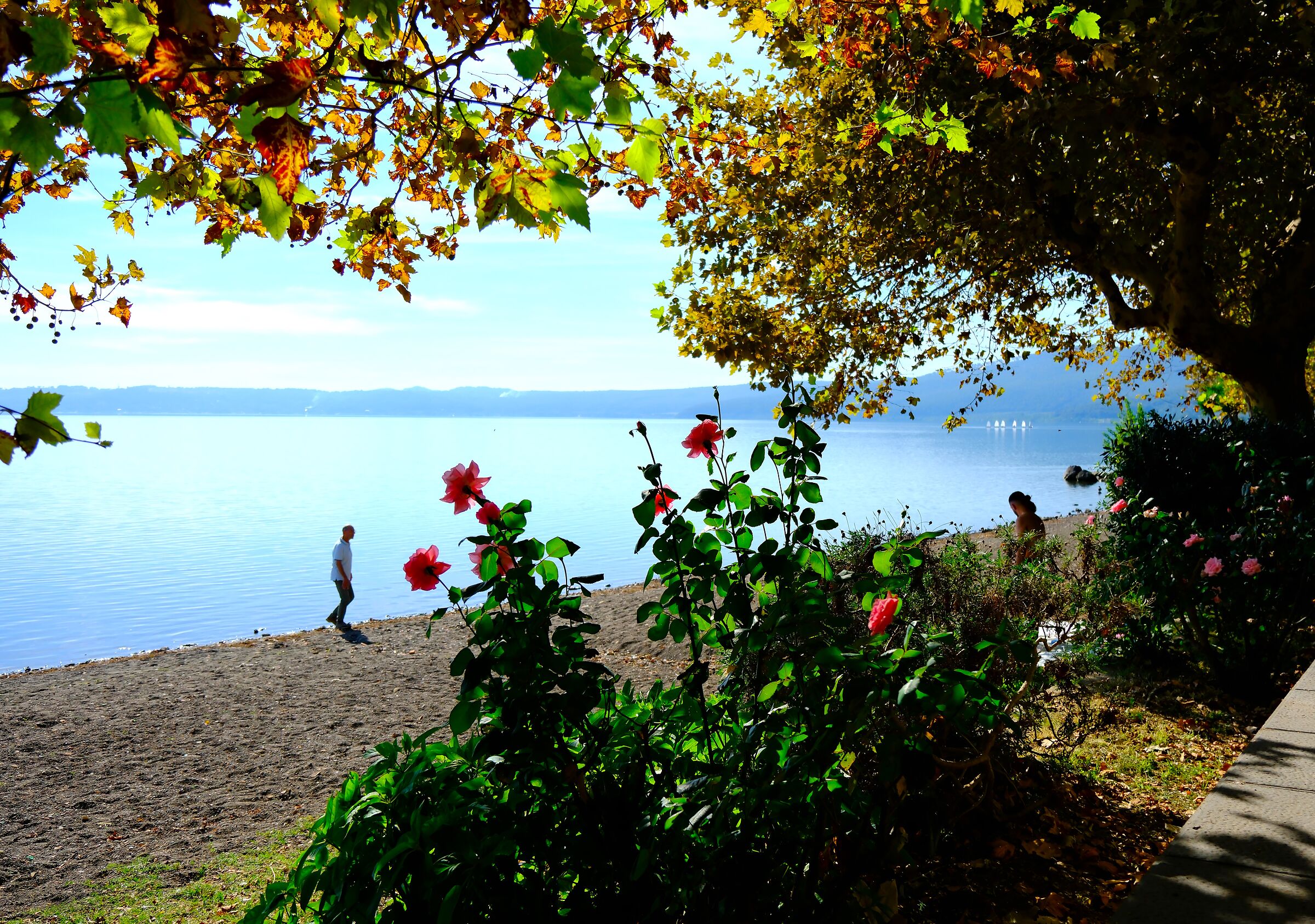 Trevignano - Lago di Bracciano
