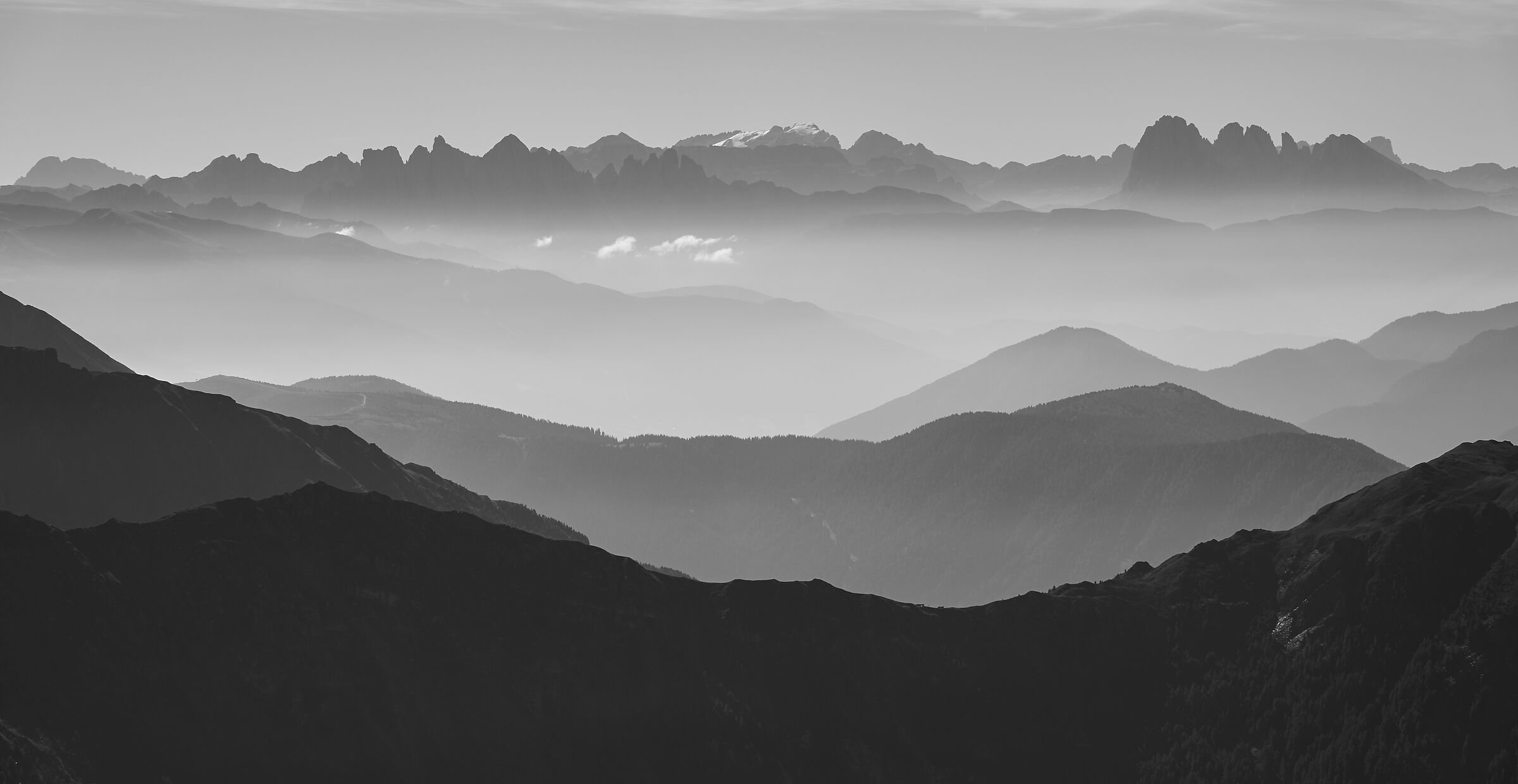 Contrasts