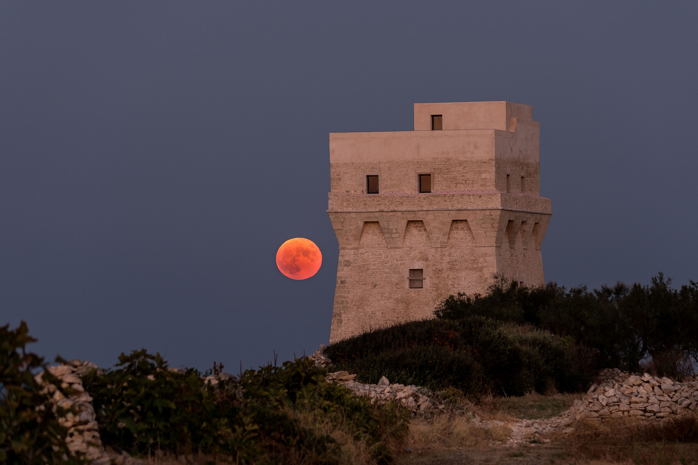 Calderina Tower - Molfetta