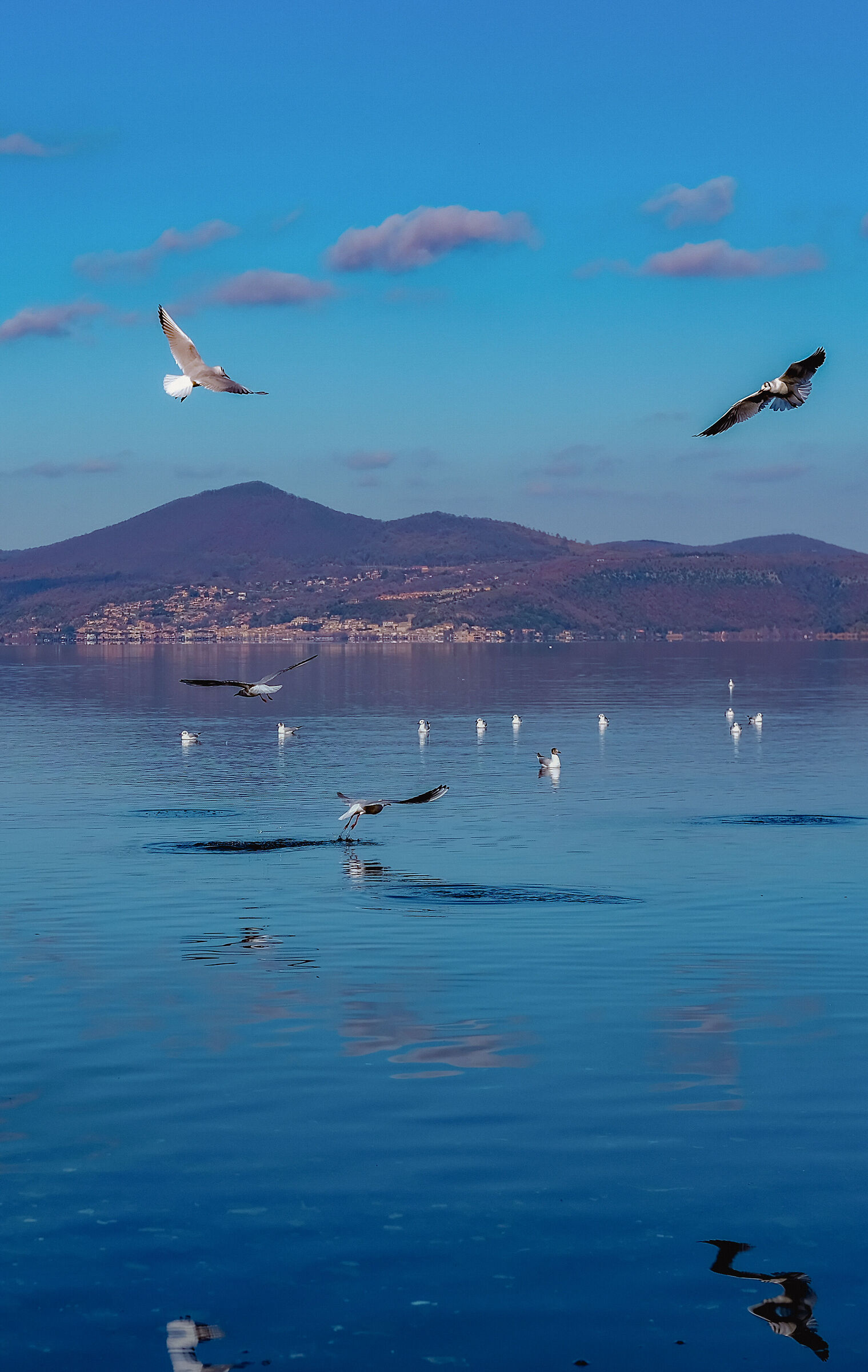 Relaxation for the eyes and the soul