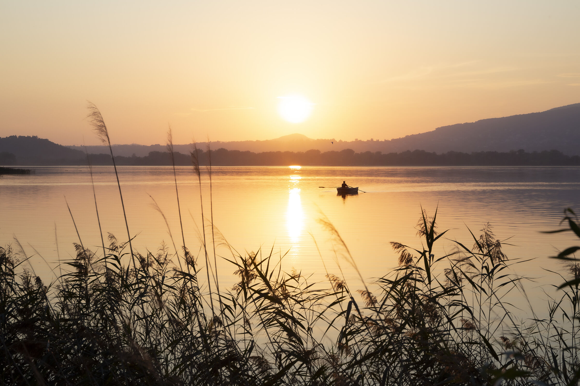Lago di Pusiano , tramonto