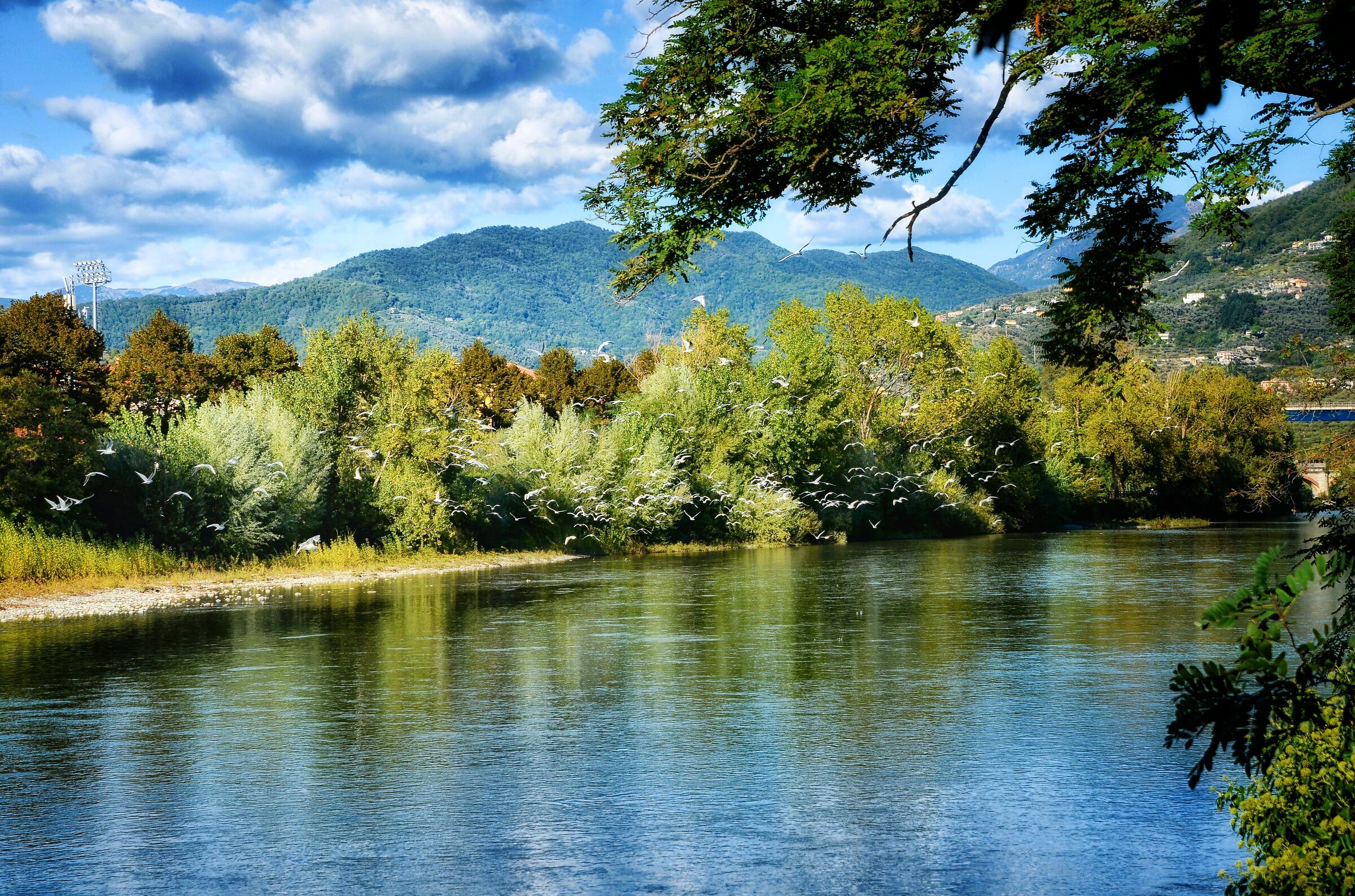 Il fiume Entella a Lavagna