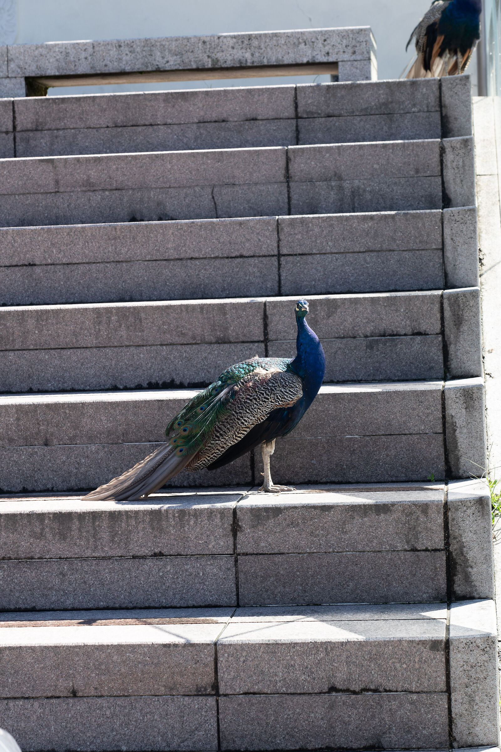 Innsbruck - Castello di Ambras