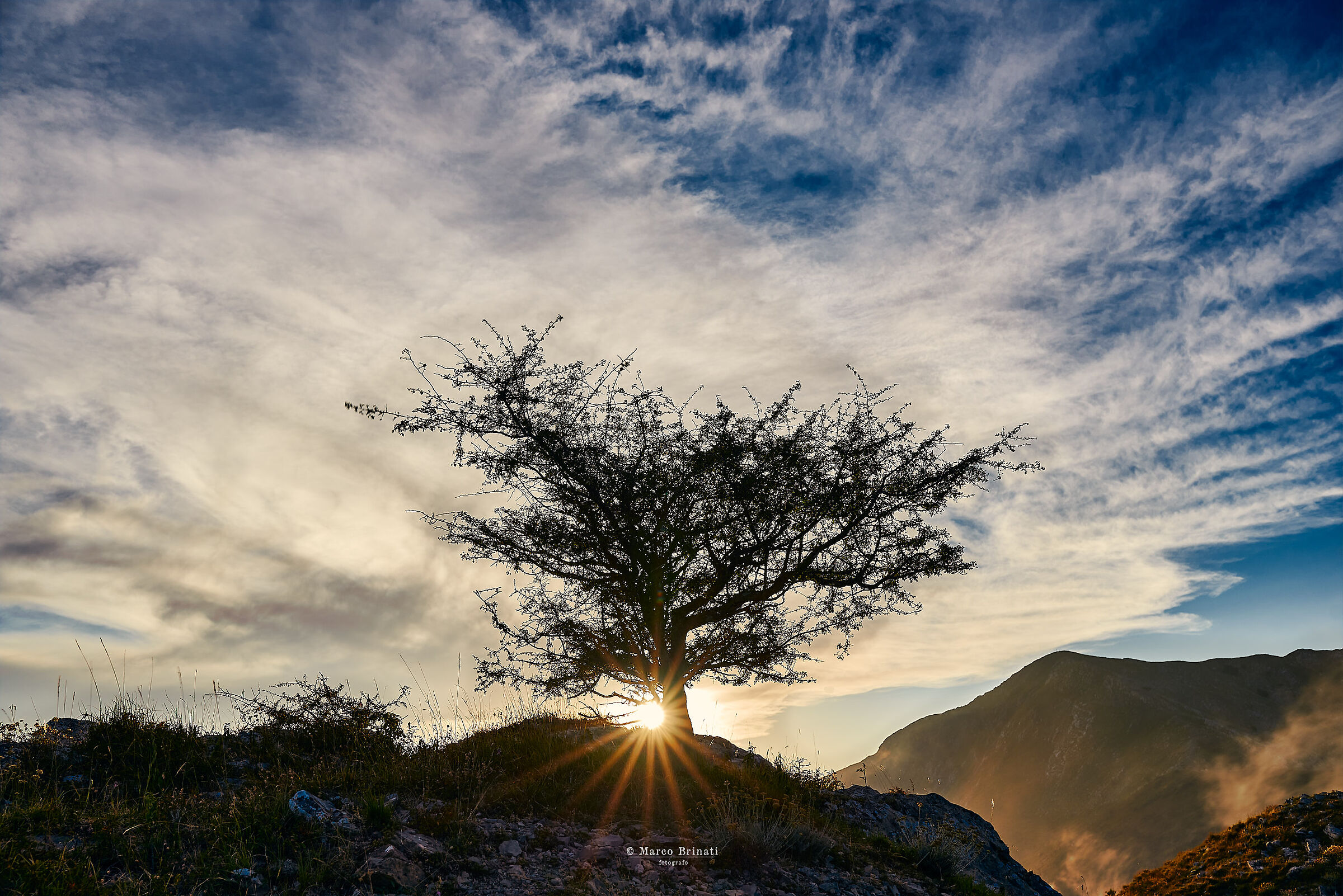 Tramonto al biancospino