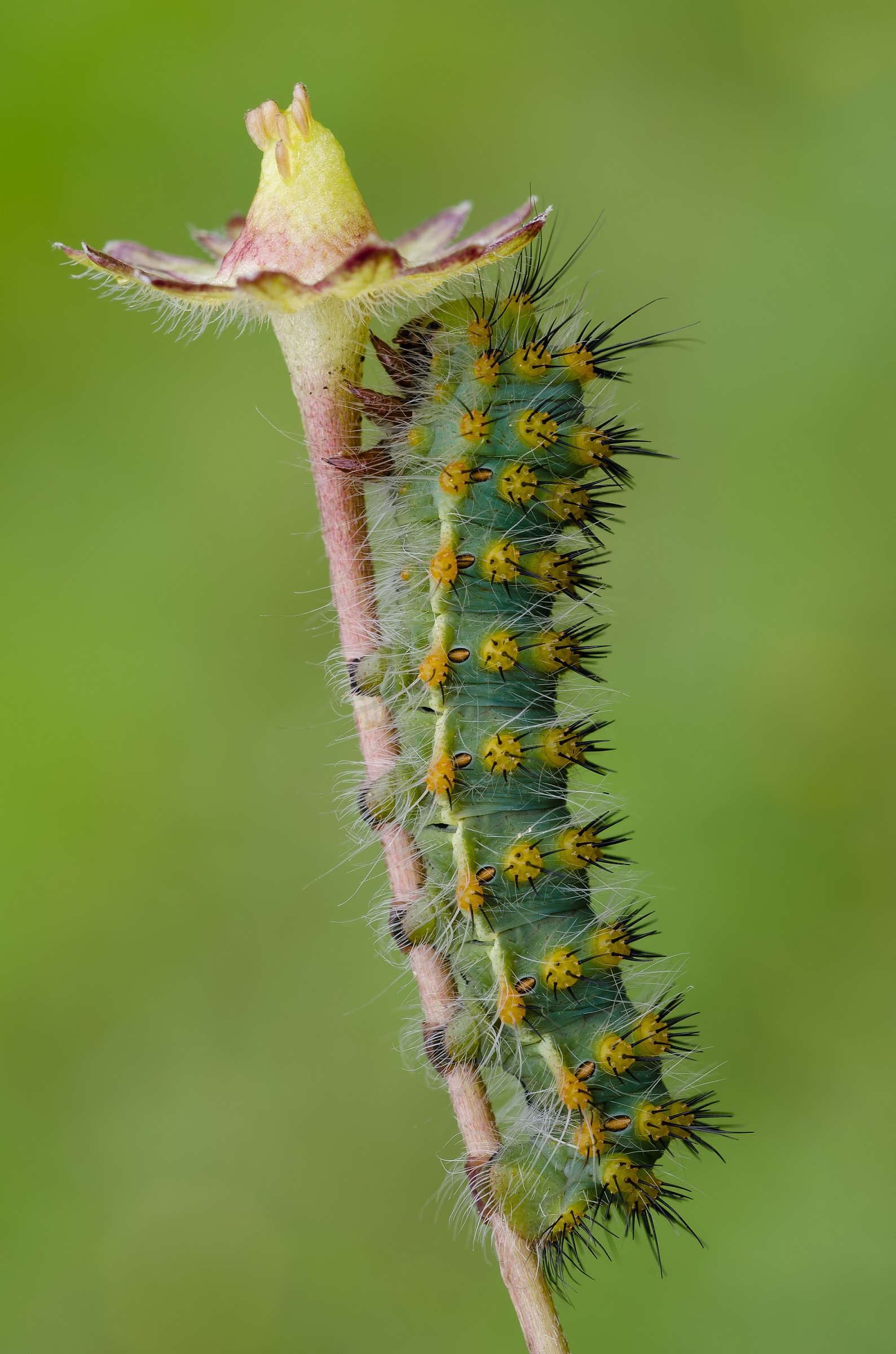 Better bring an umbrella