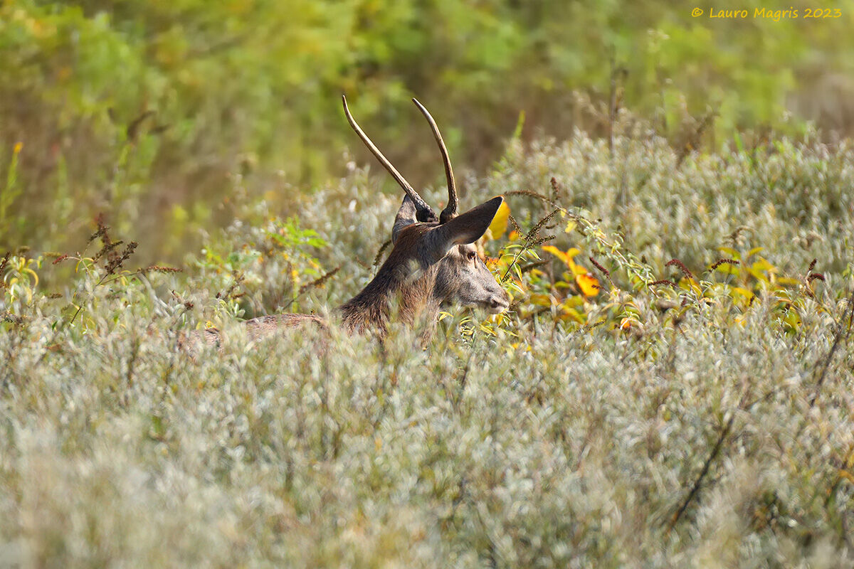Primi segni d'autunno