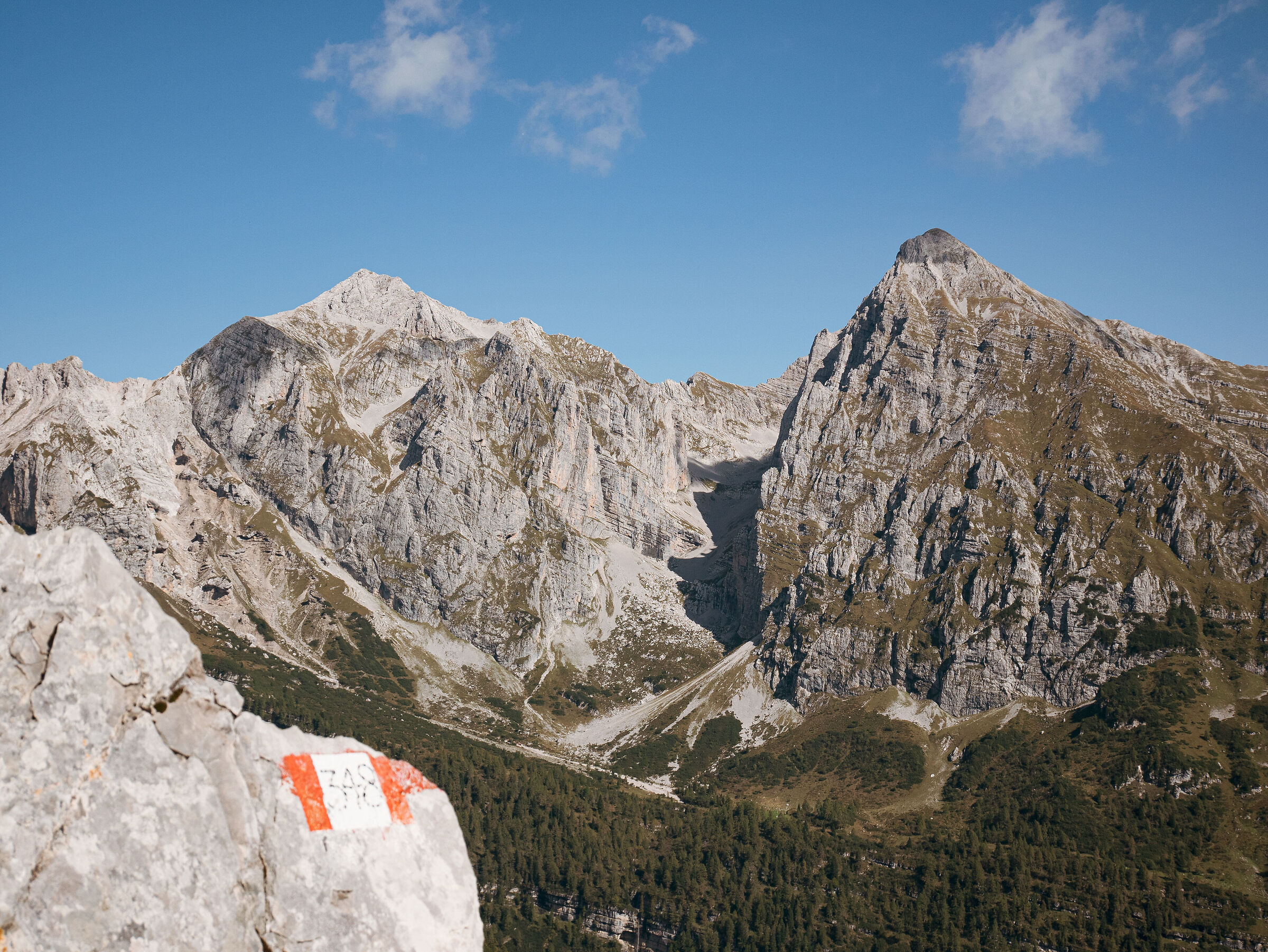 brenta