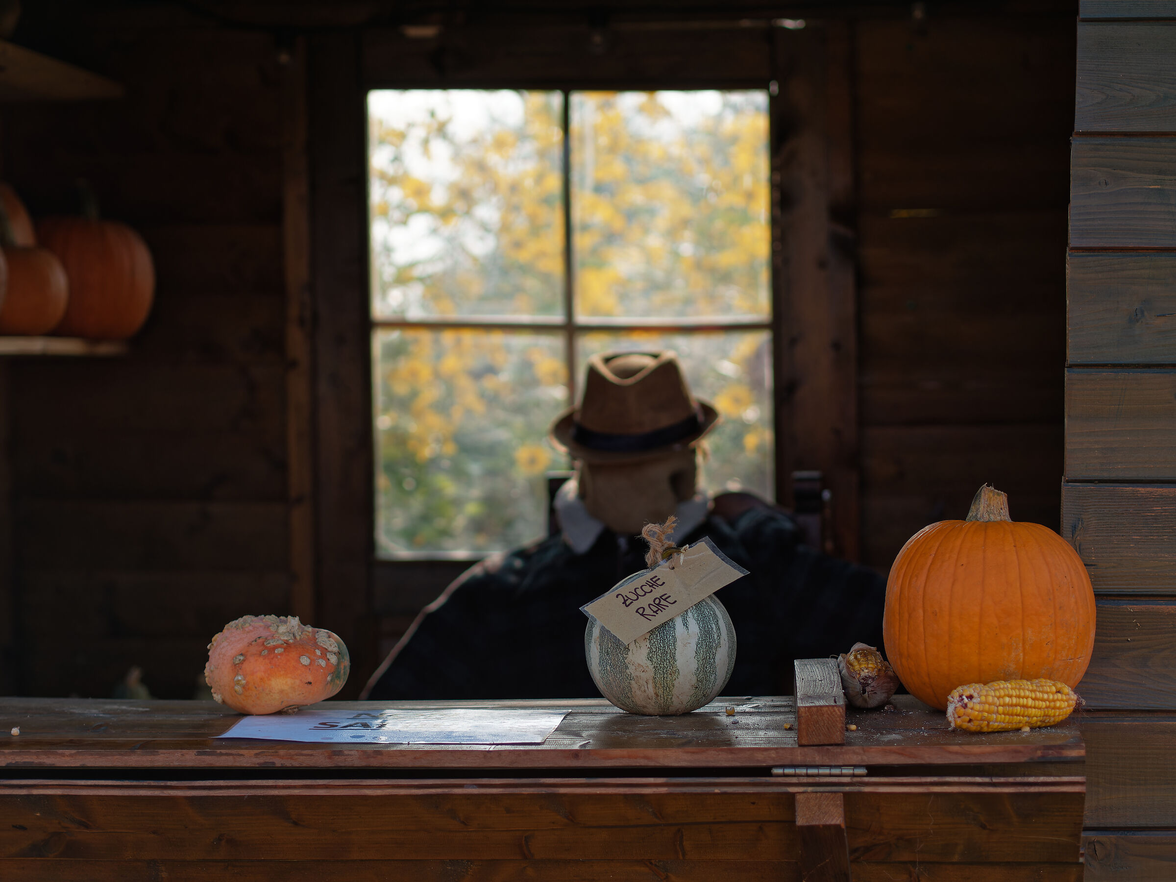 Do you want to buy ?