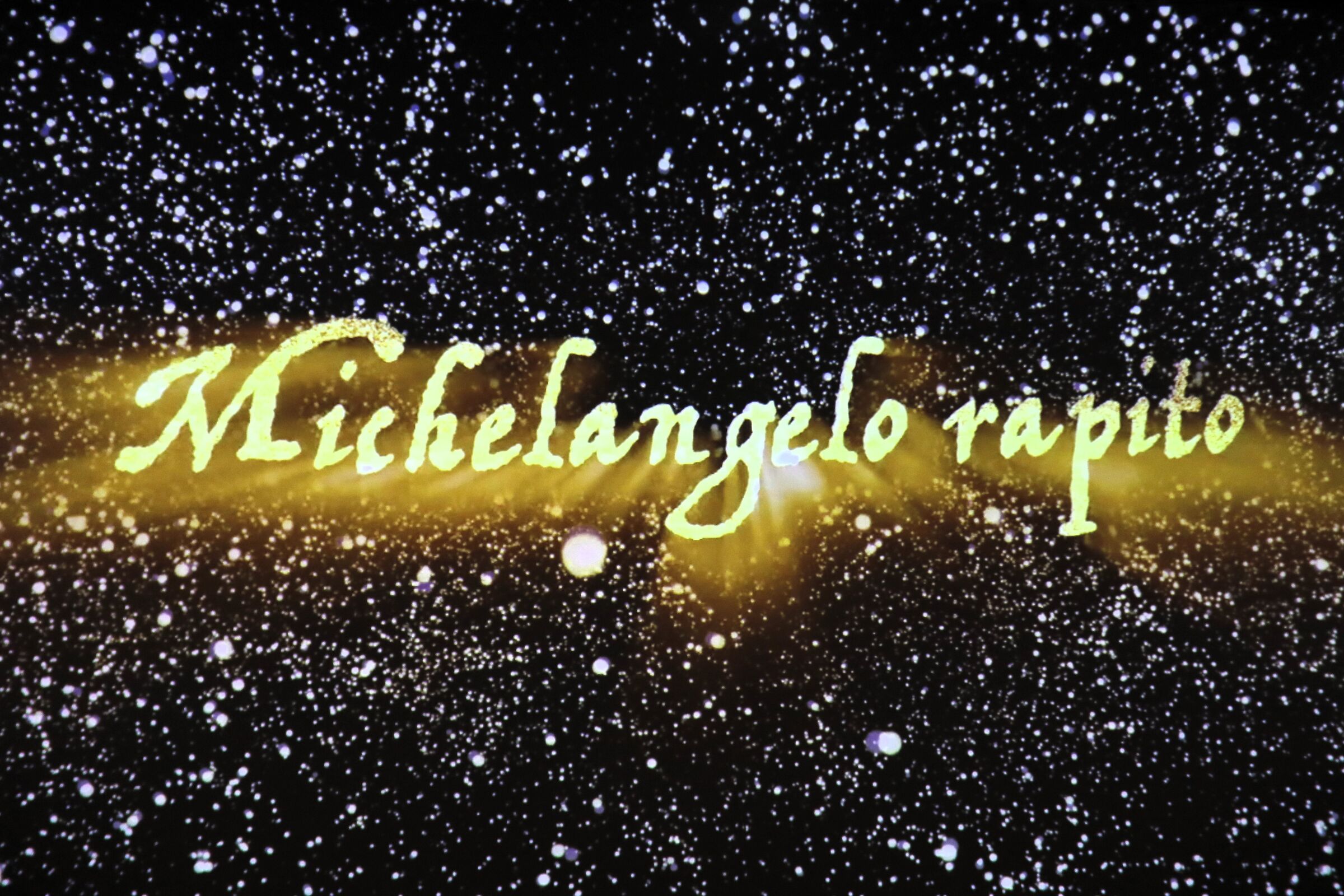 " Michelangelo kidnapped "