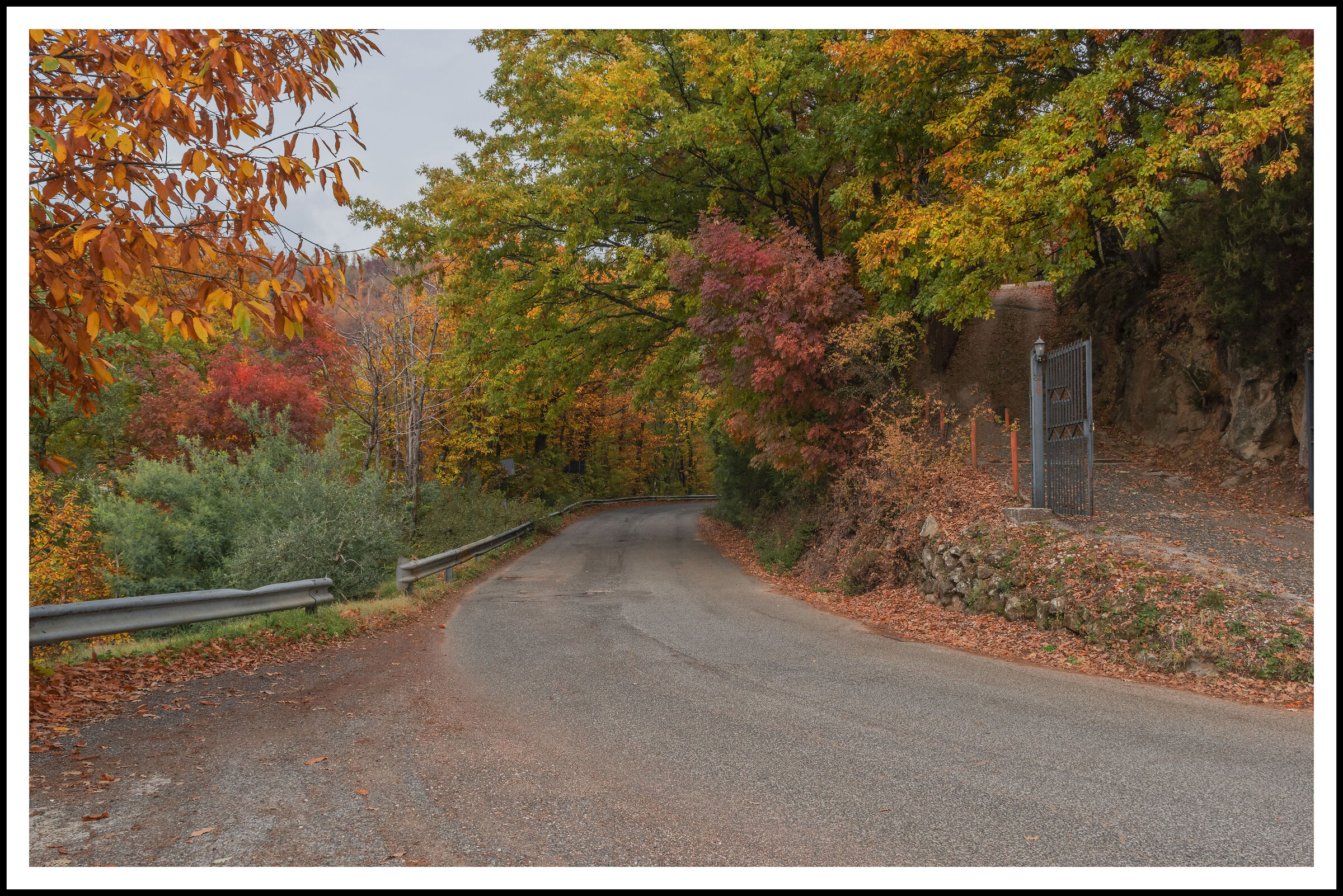 La strada in autunno