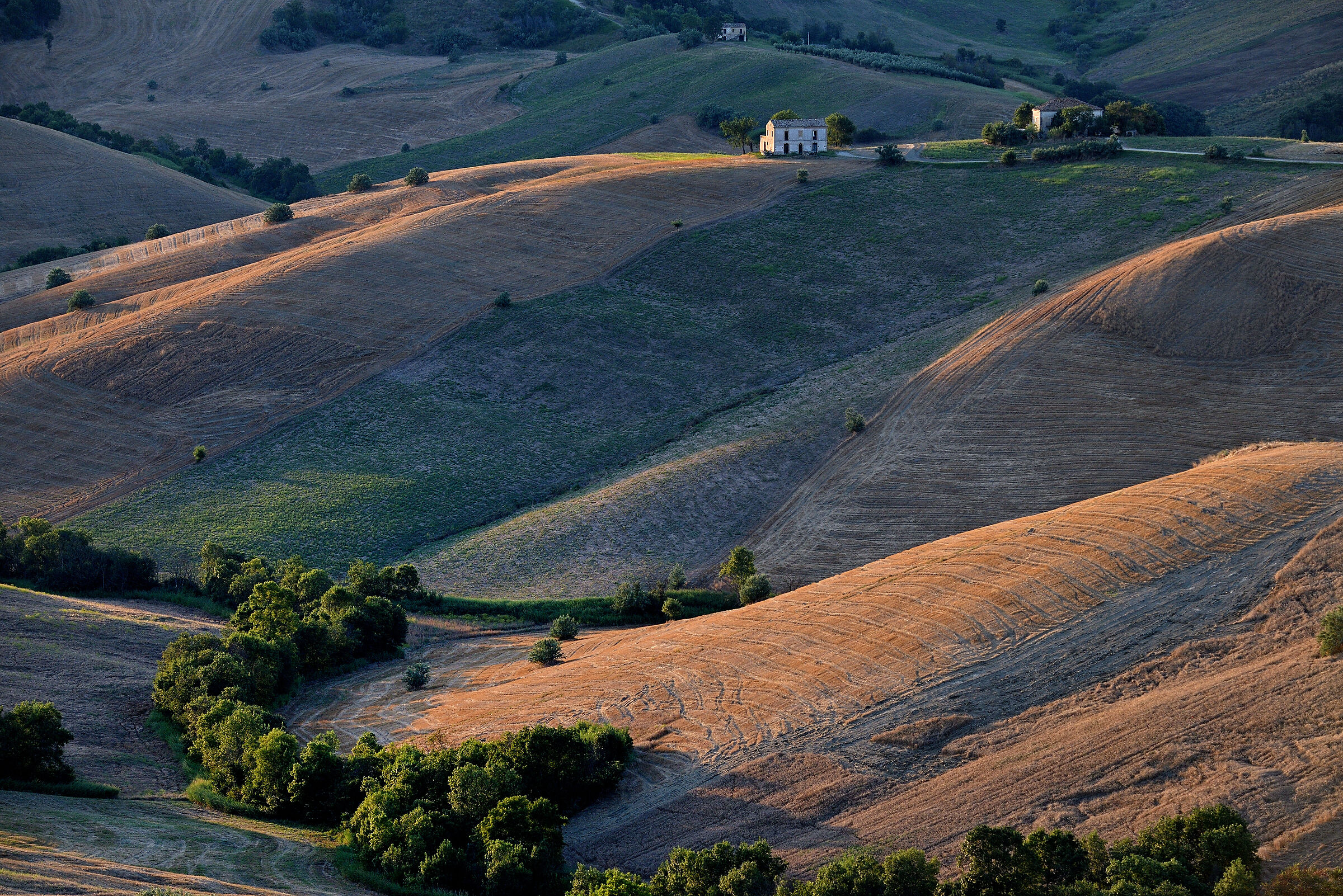 Contado d'Abruzzo