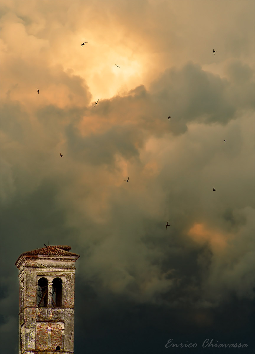 One swallow does not make a summer ... but eleven!