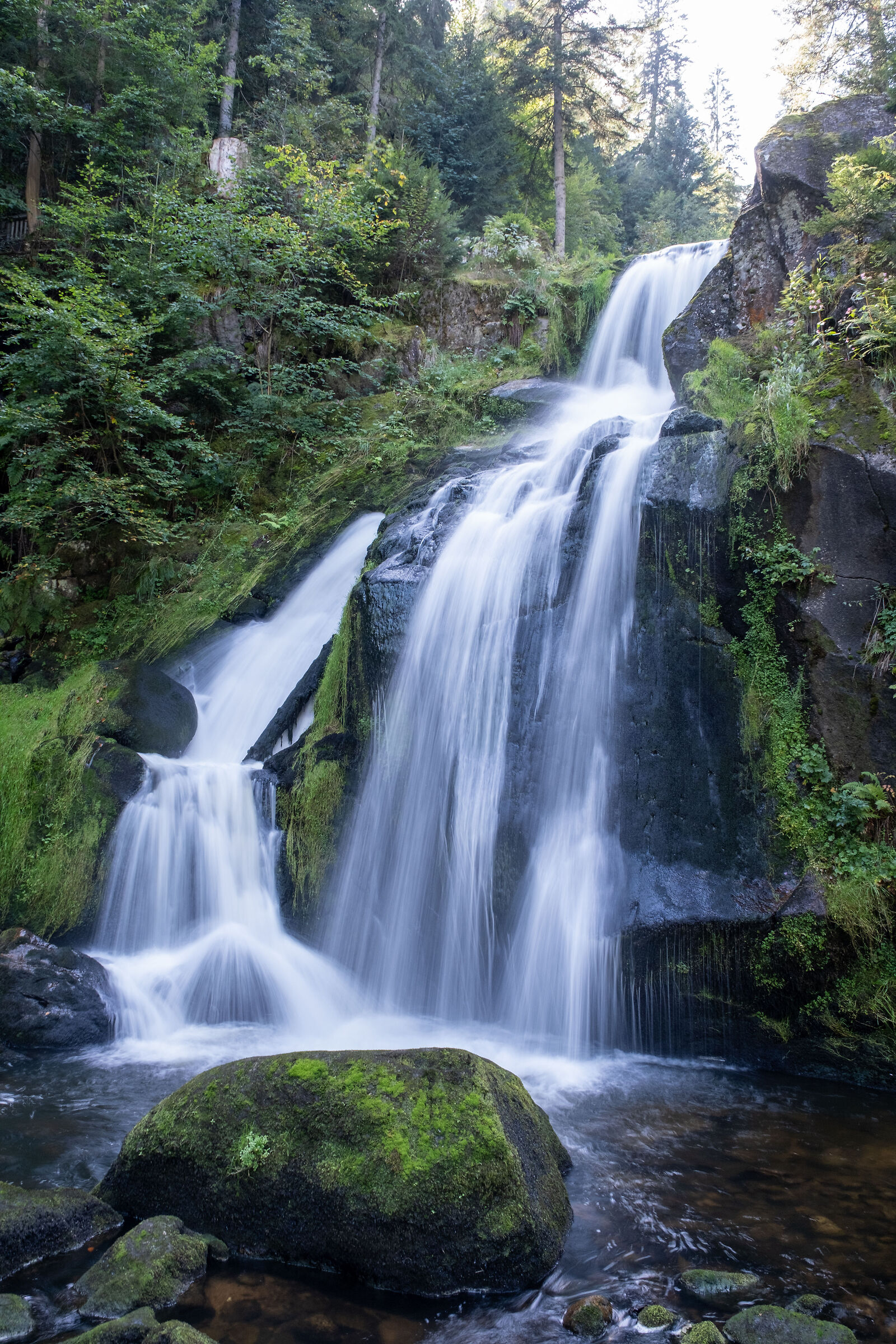 Cascate a Triberg (Foresta nera. Germania)