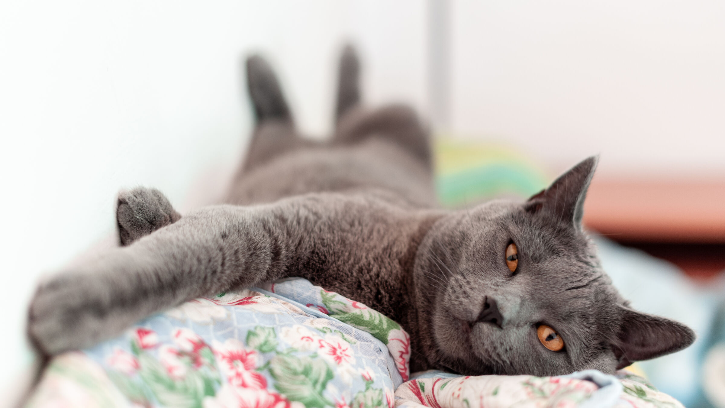 Have a nice trip, my friend