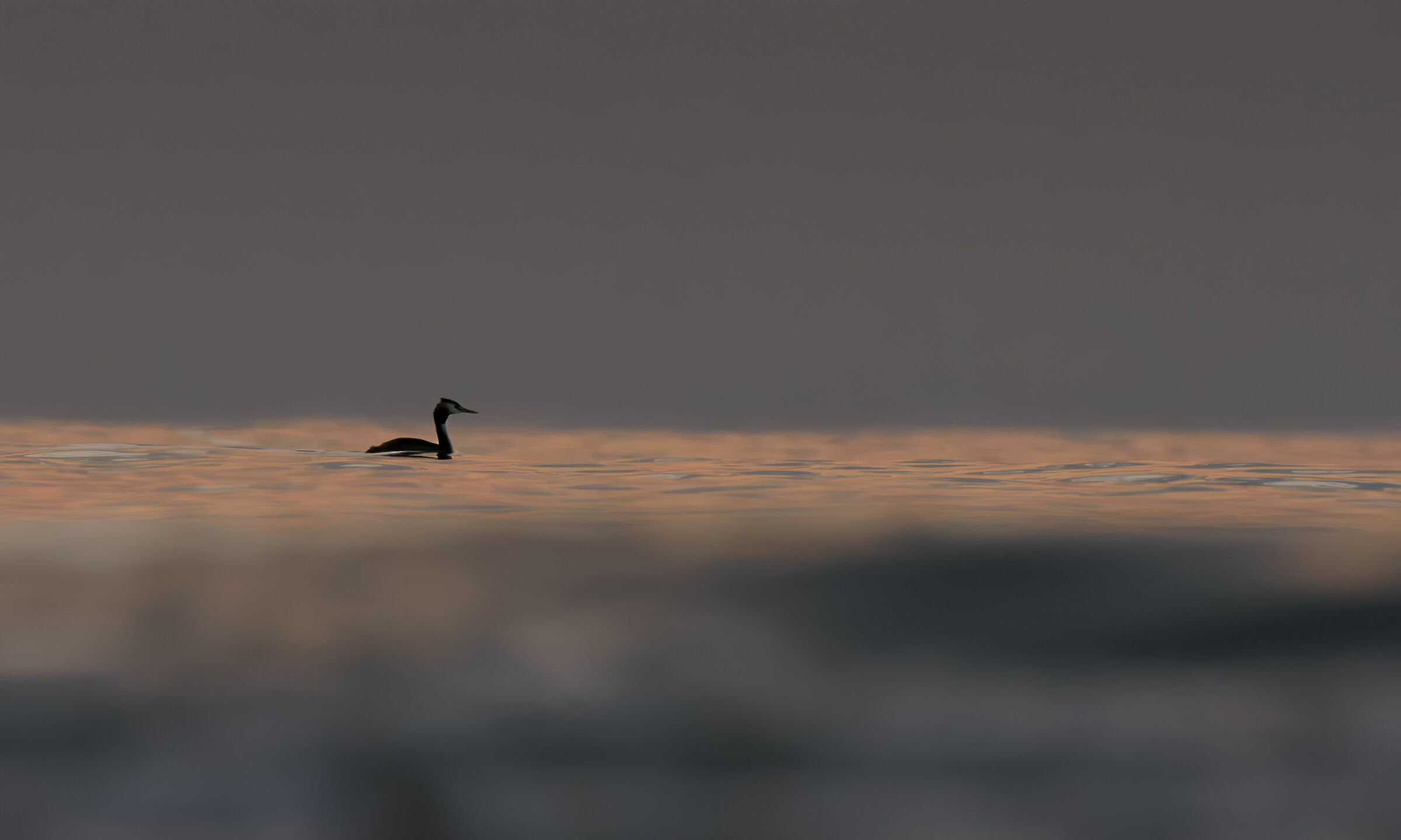 Svasso all'alba