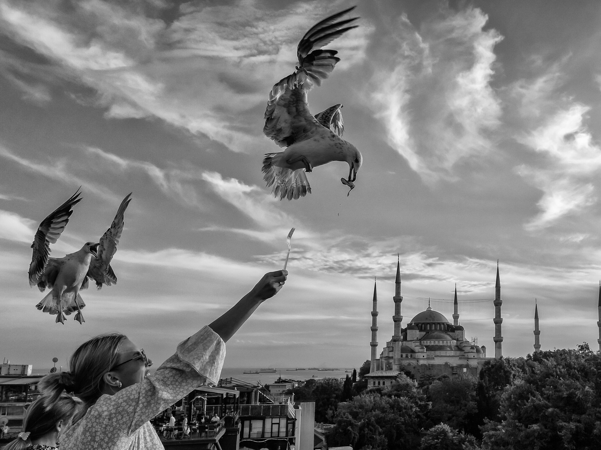 Seagulls and tourists