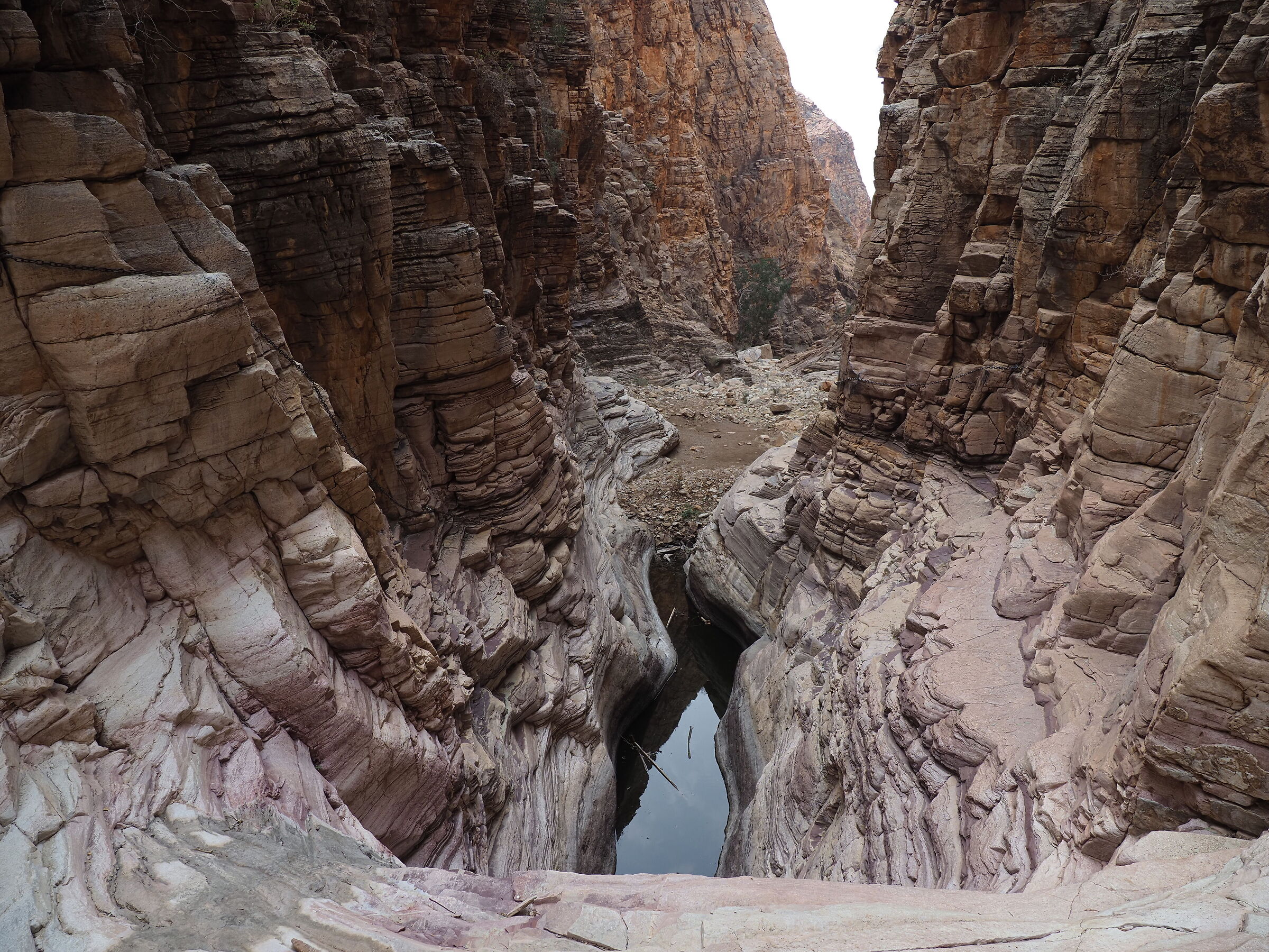 Olive trail - Naukluft NP