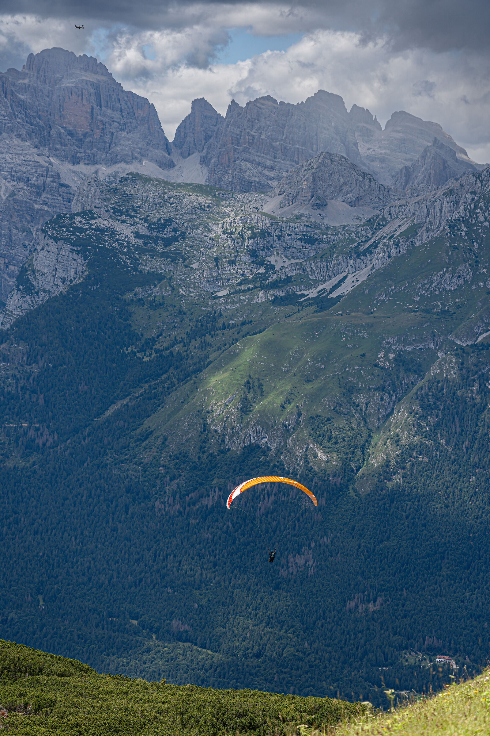 "wings" on the Brenta