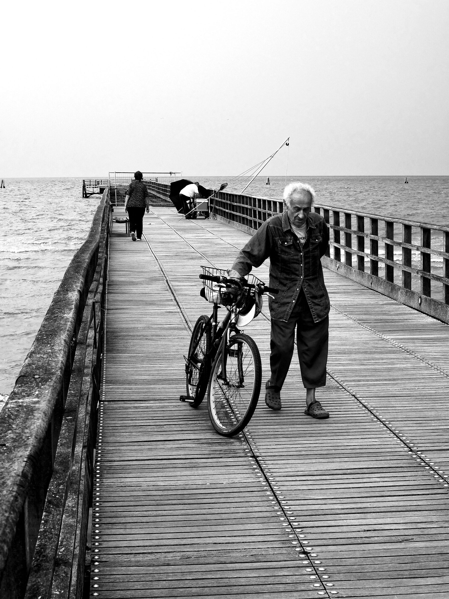 fragments of summer. (early autumn)