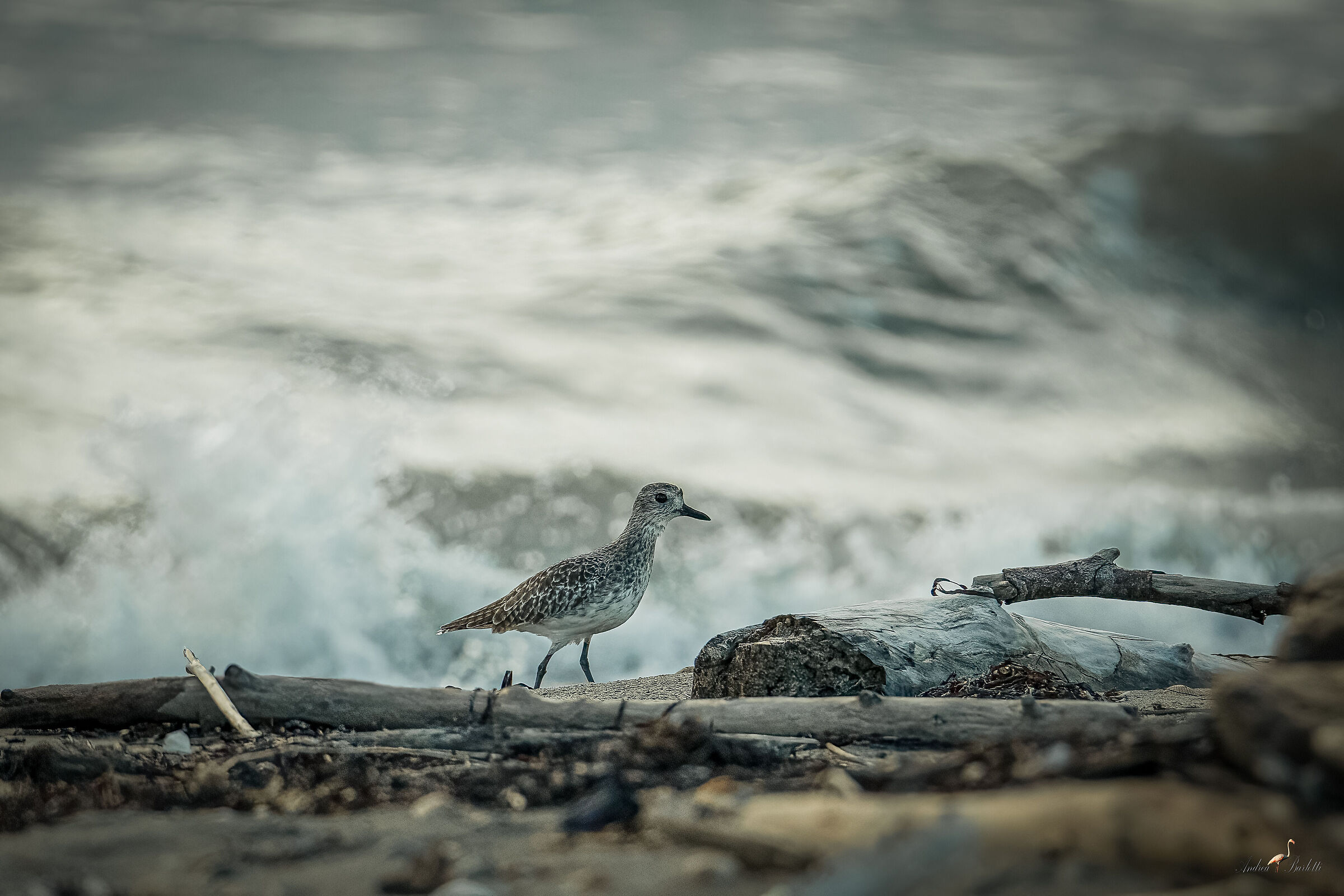 On the shoreline