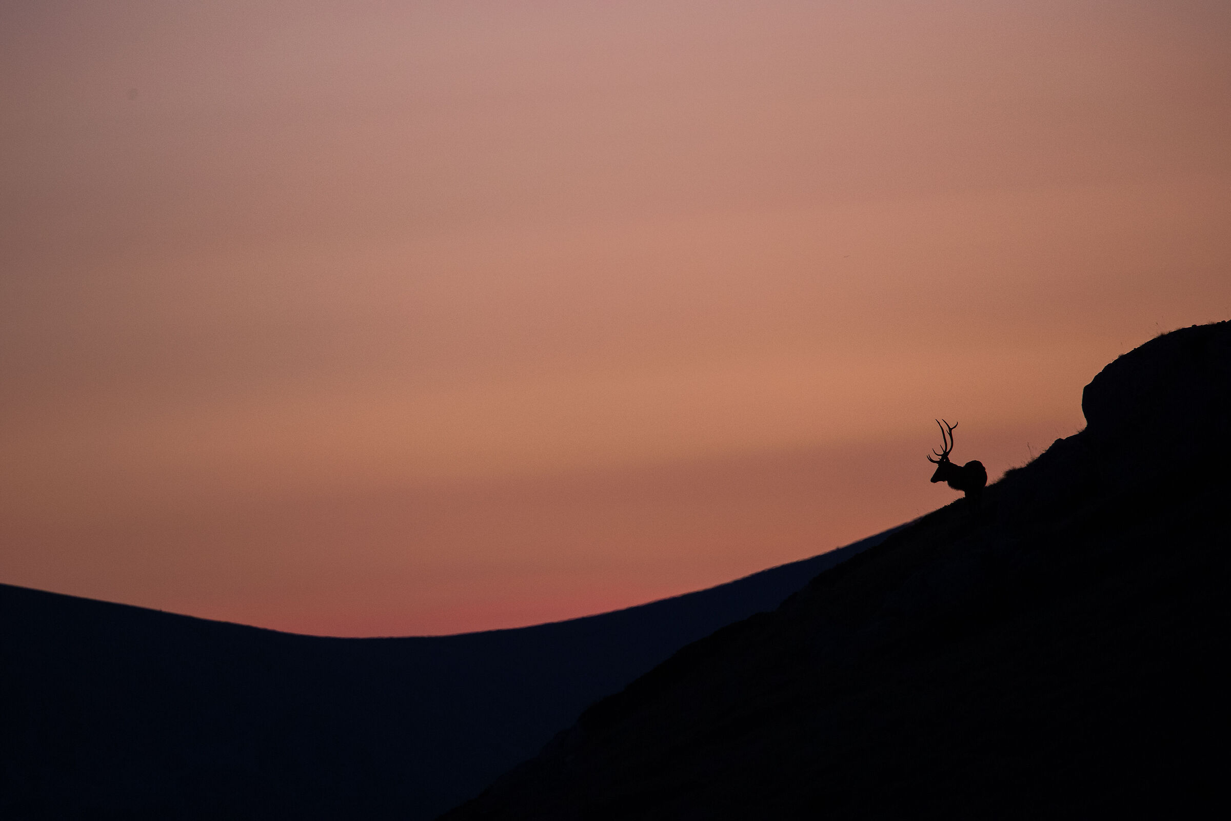 tramonto
